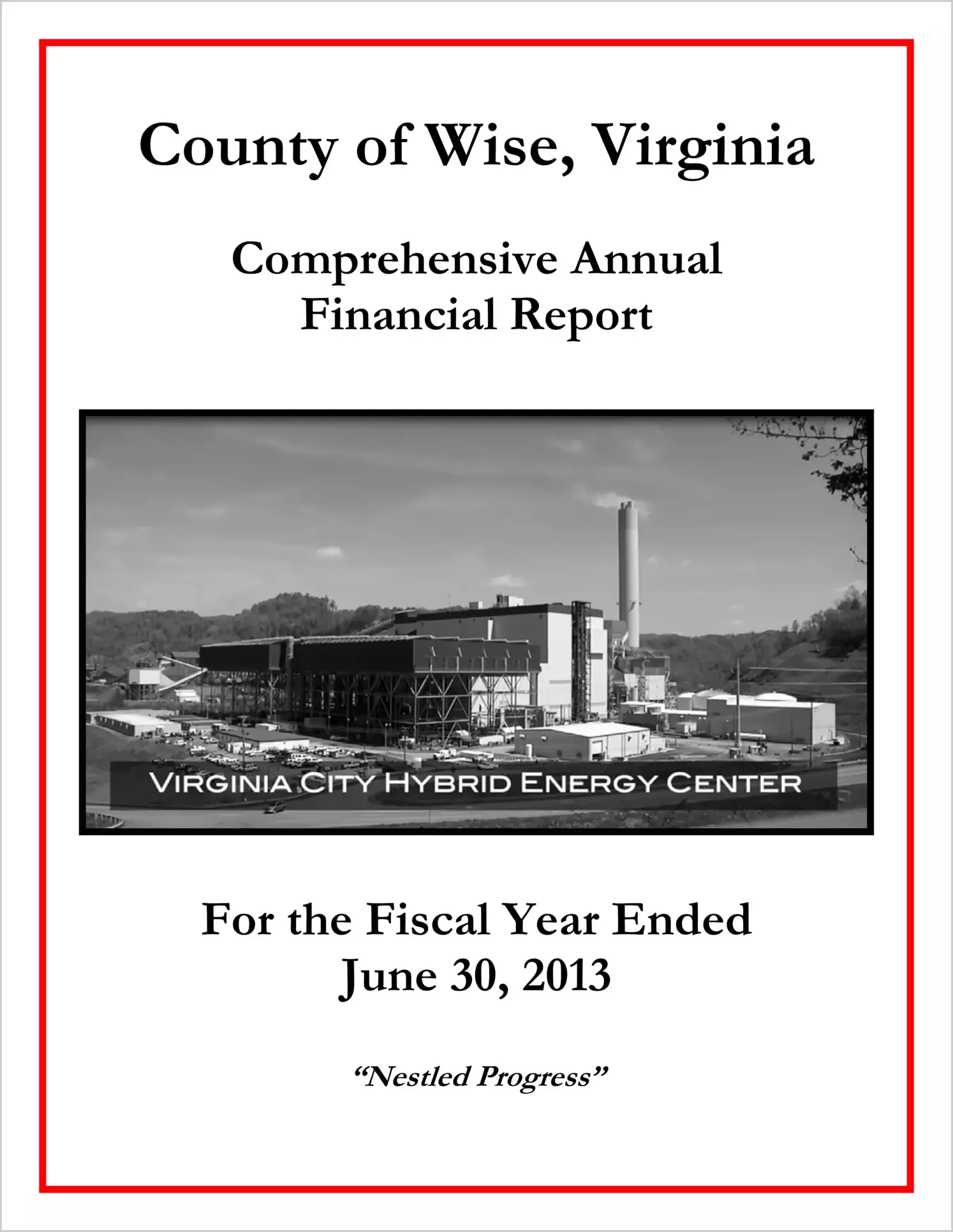 2013 Annual Financial Report for County of Wise
