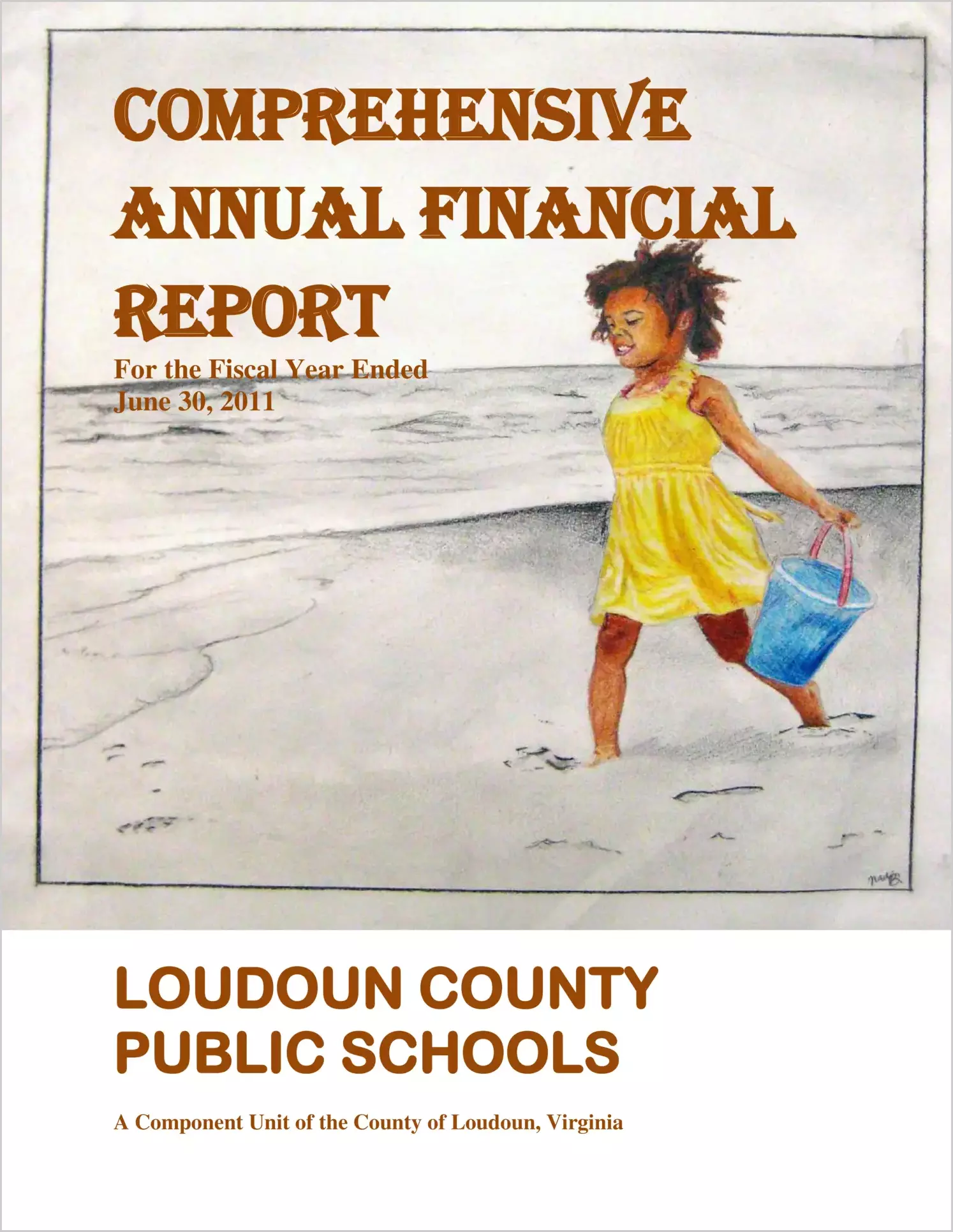2011 Public Schools Annual Financial Report for County of Loudoun