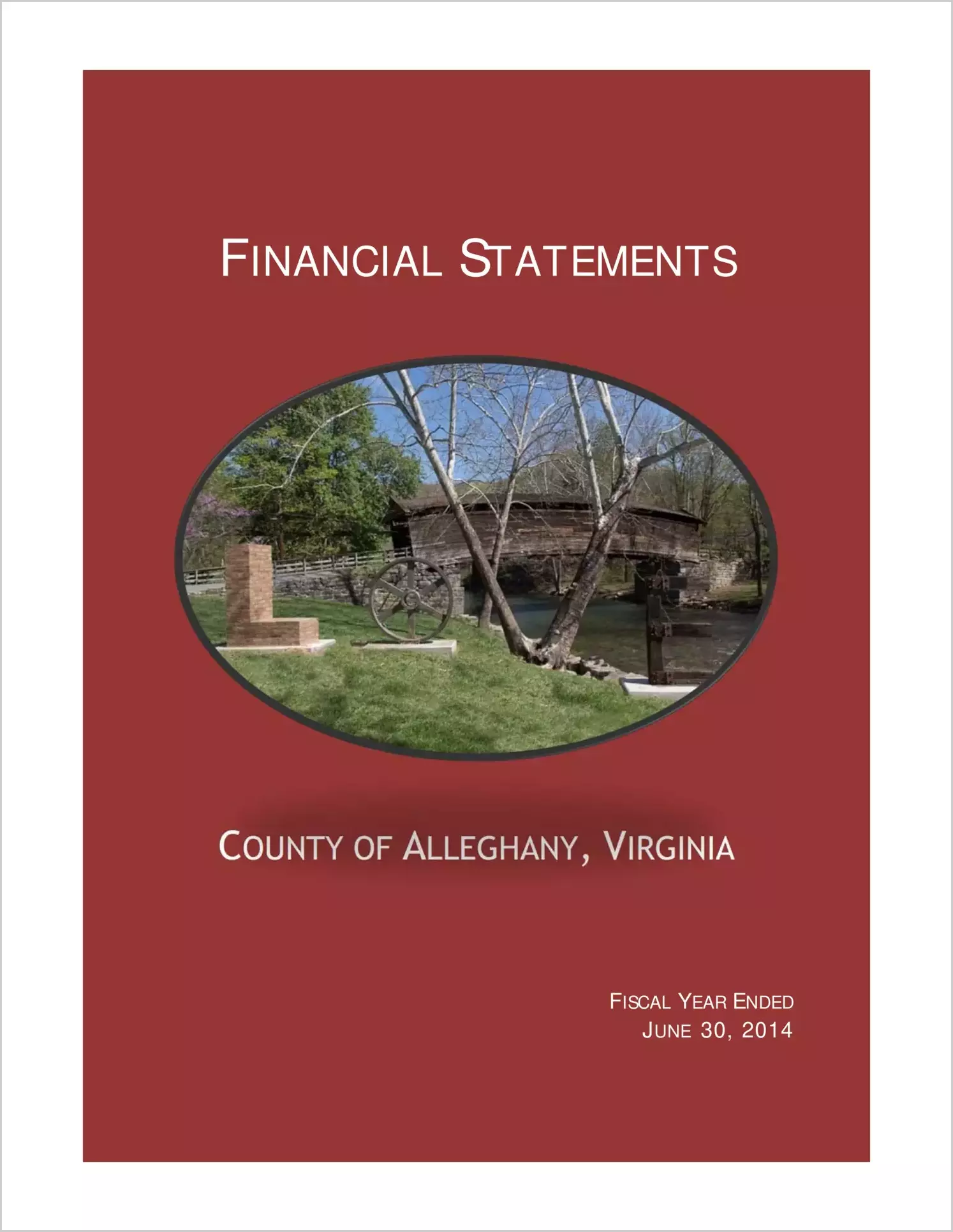 2014 Annual Financial Report for County of Alleghany