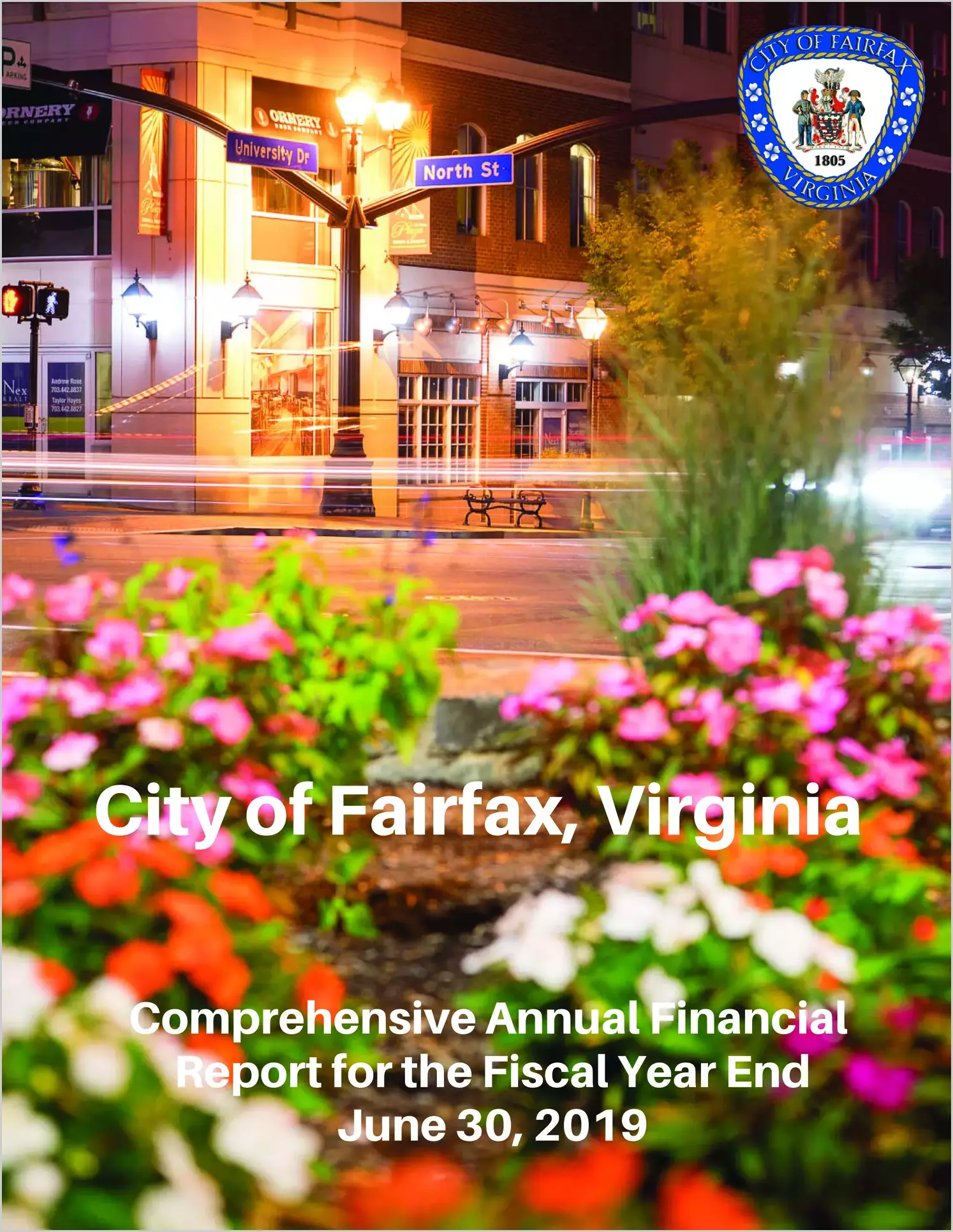 2019 Annual Financial Report for City of Fairfax