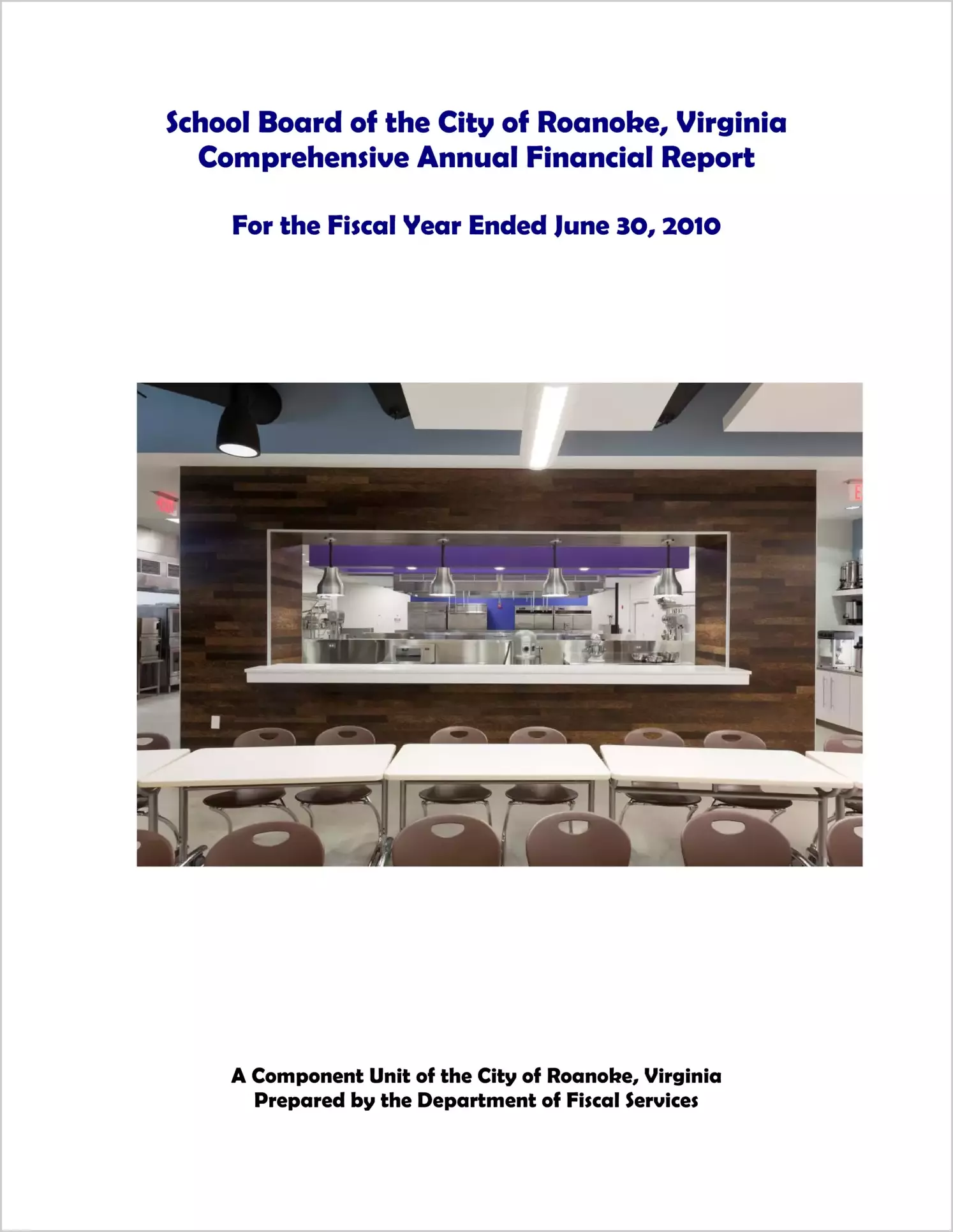 2010 Public Schools Annual Financial Report for City of Roanoke