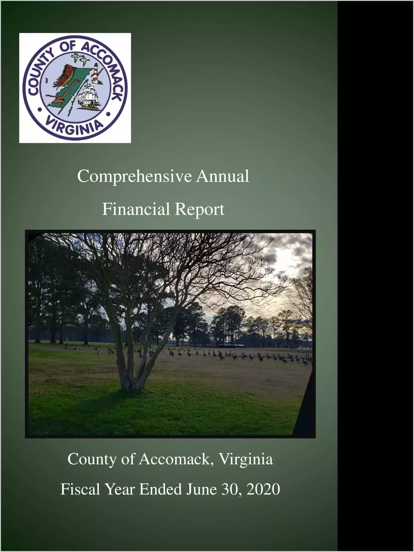 2020 Annual Financial Report for County of Accomack