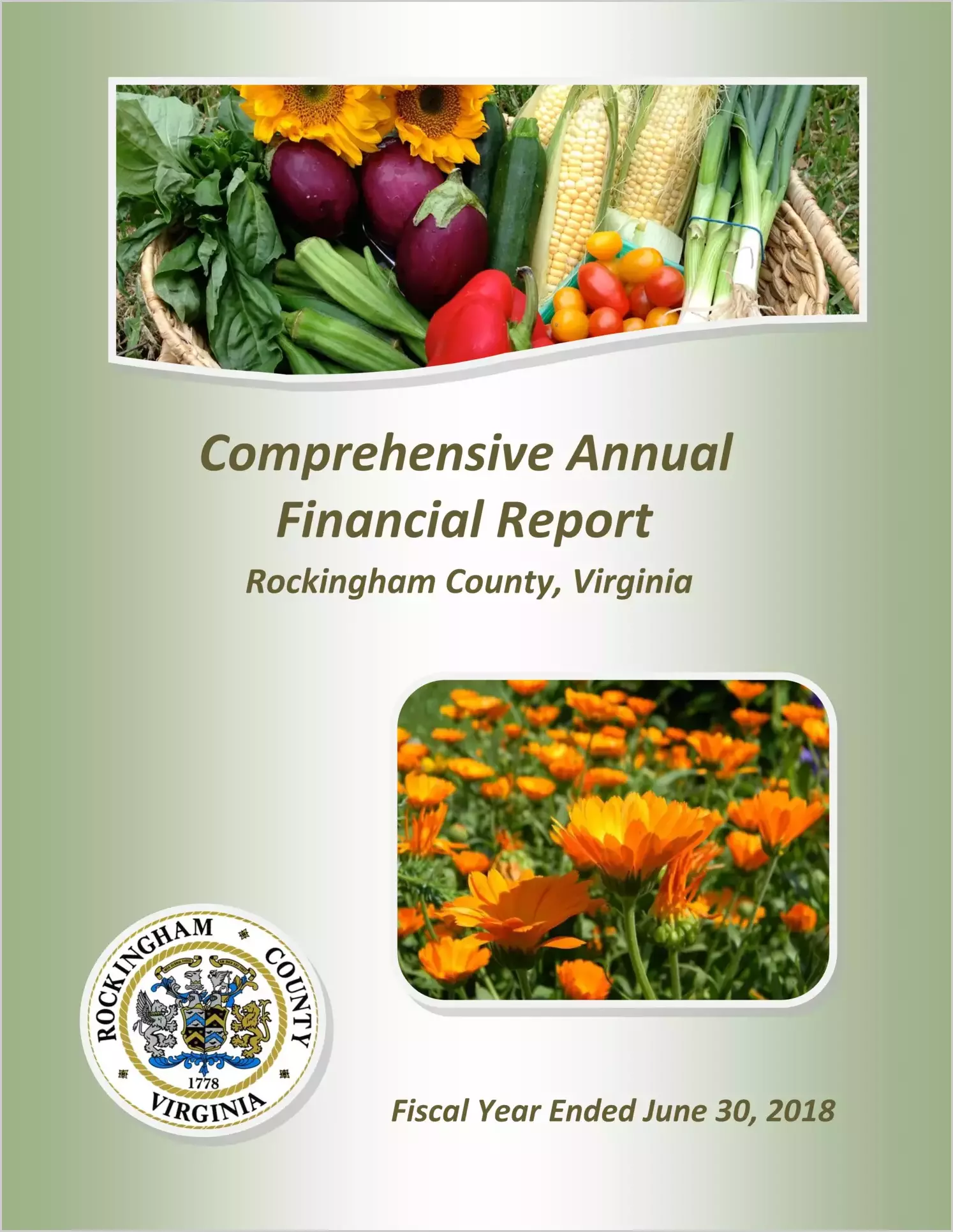 2018 Annual Financial Report for County of Rockingham