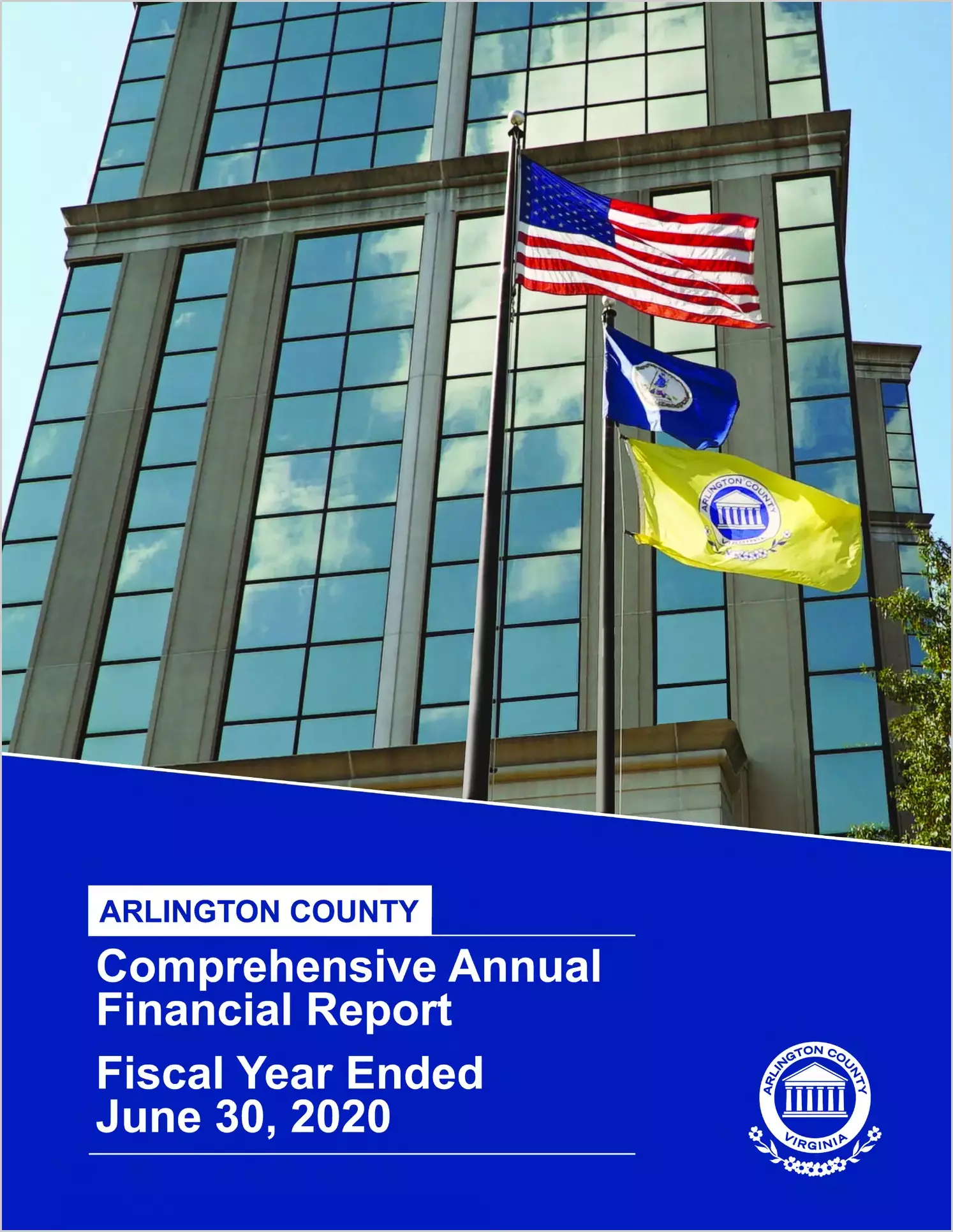 2020 Annual Financial Report for County of Arlington