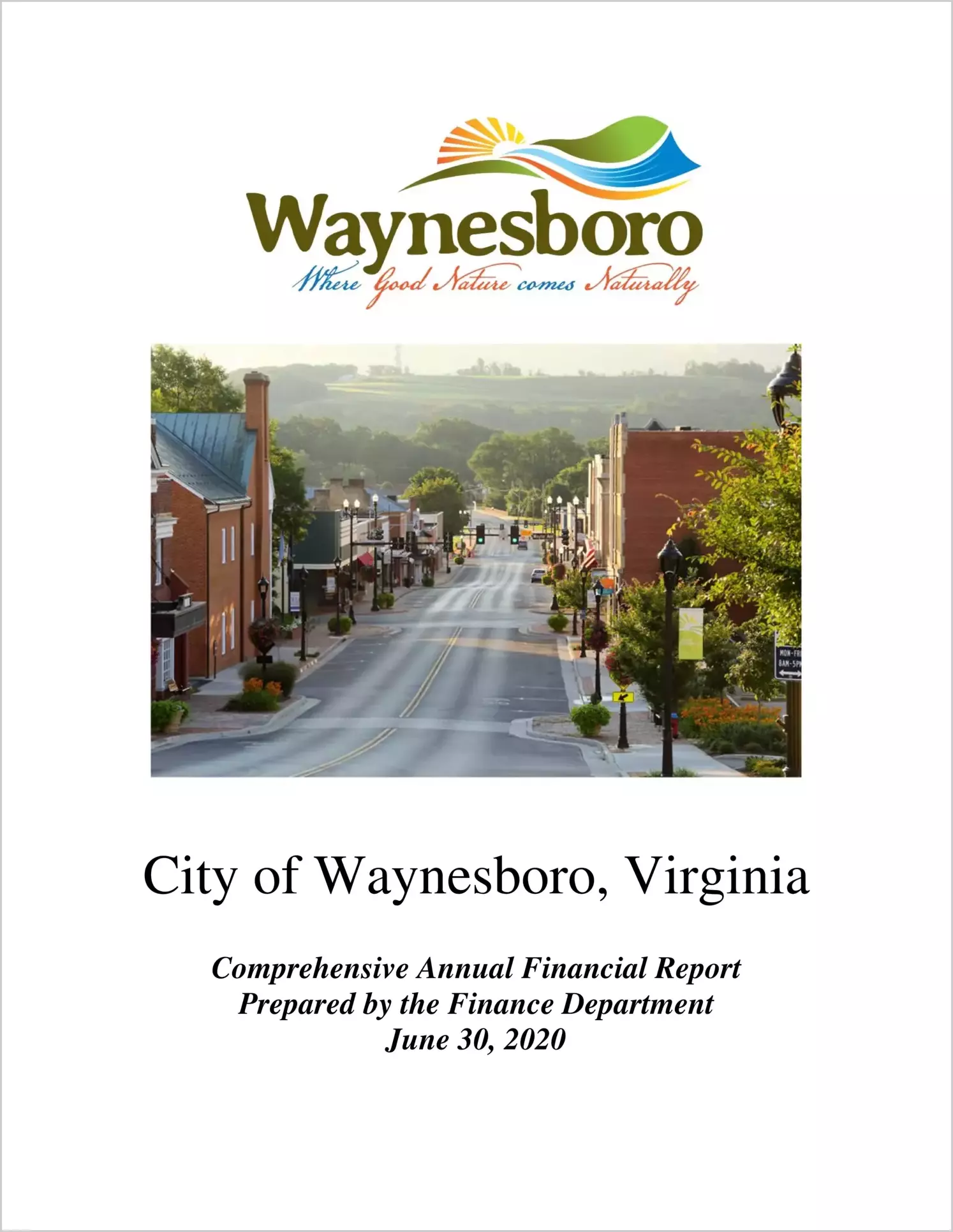 2020 Annual Financial Report for City of Waynesboro