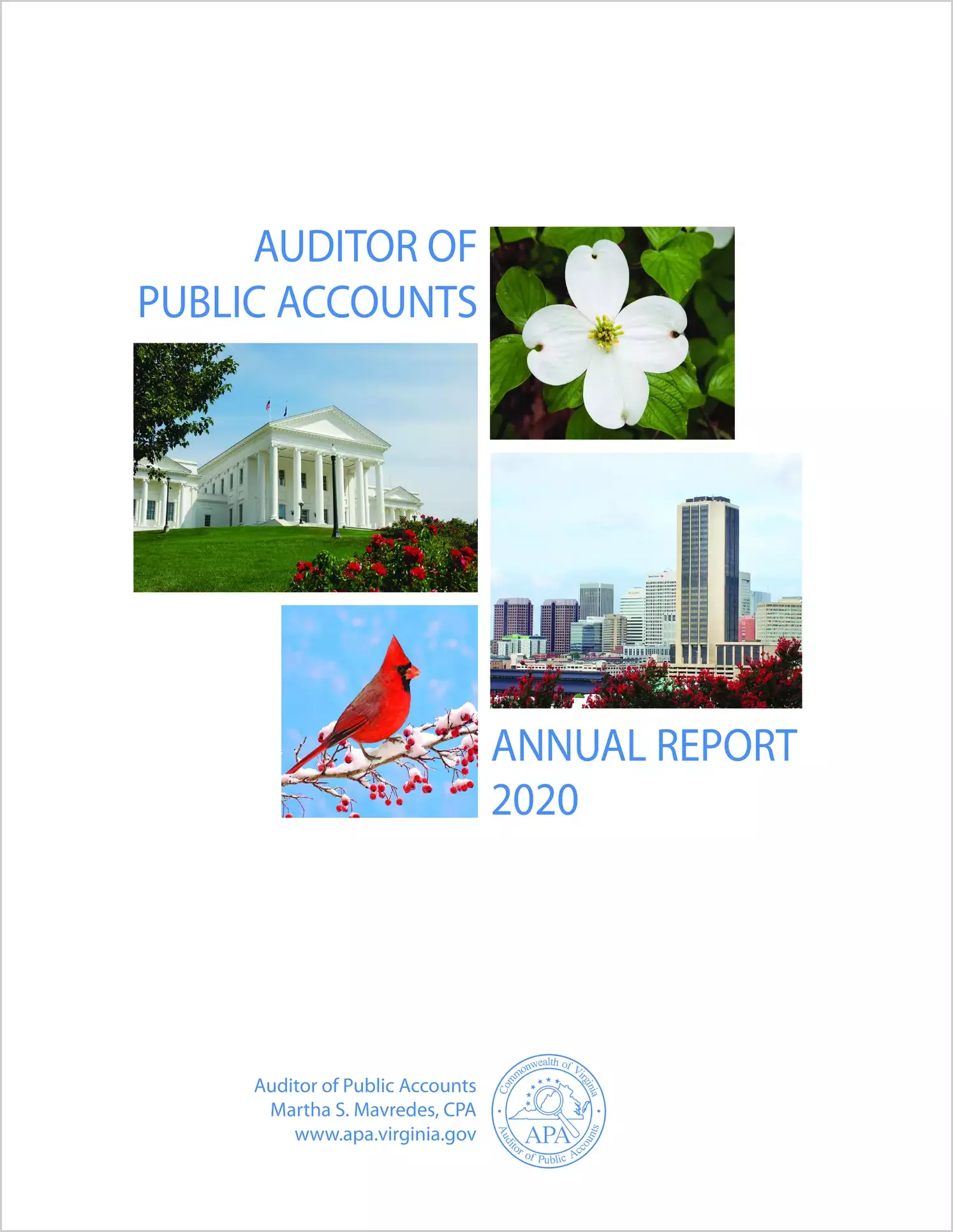 2020 Annual Report of the Auditor of Public Accounts