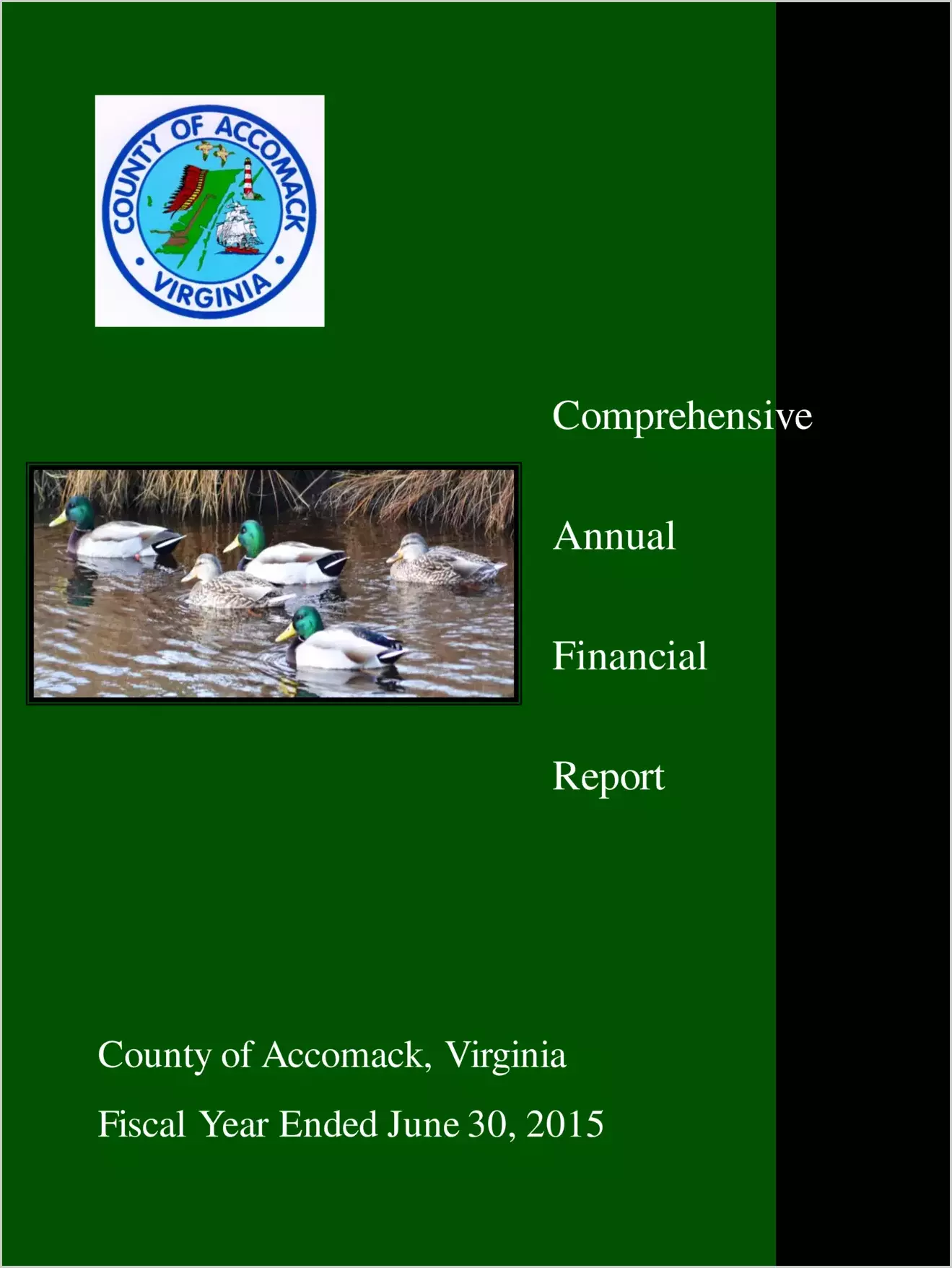 2015 Annual Financial Report for County of Accomack