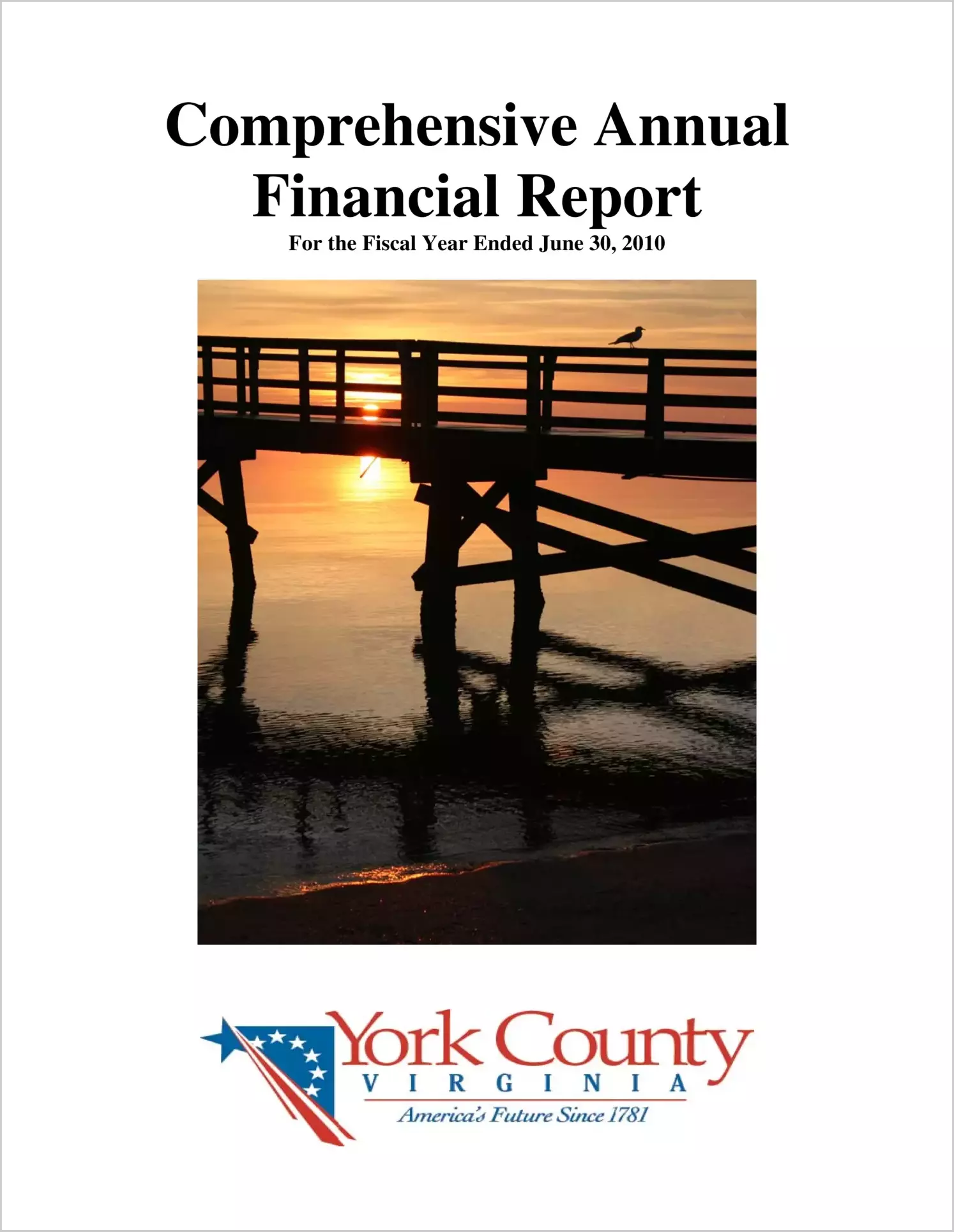 2010 Annual Financial Report for County of York