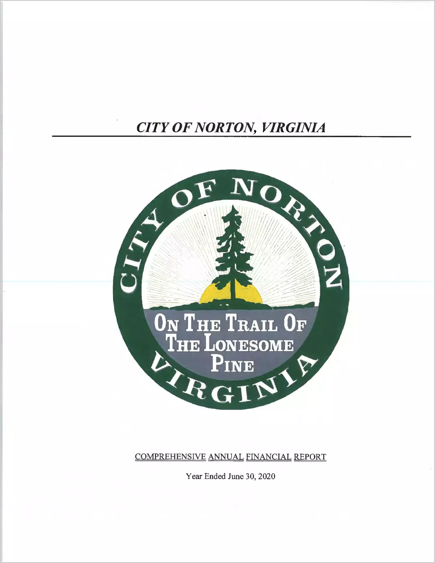 2020 Annual Financial Report for City of Norton