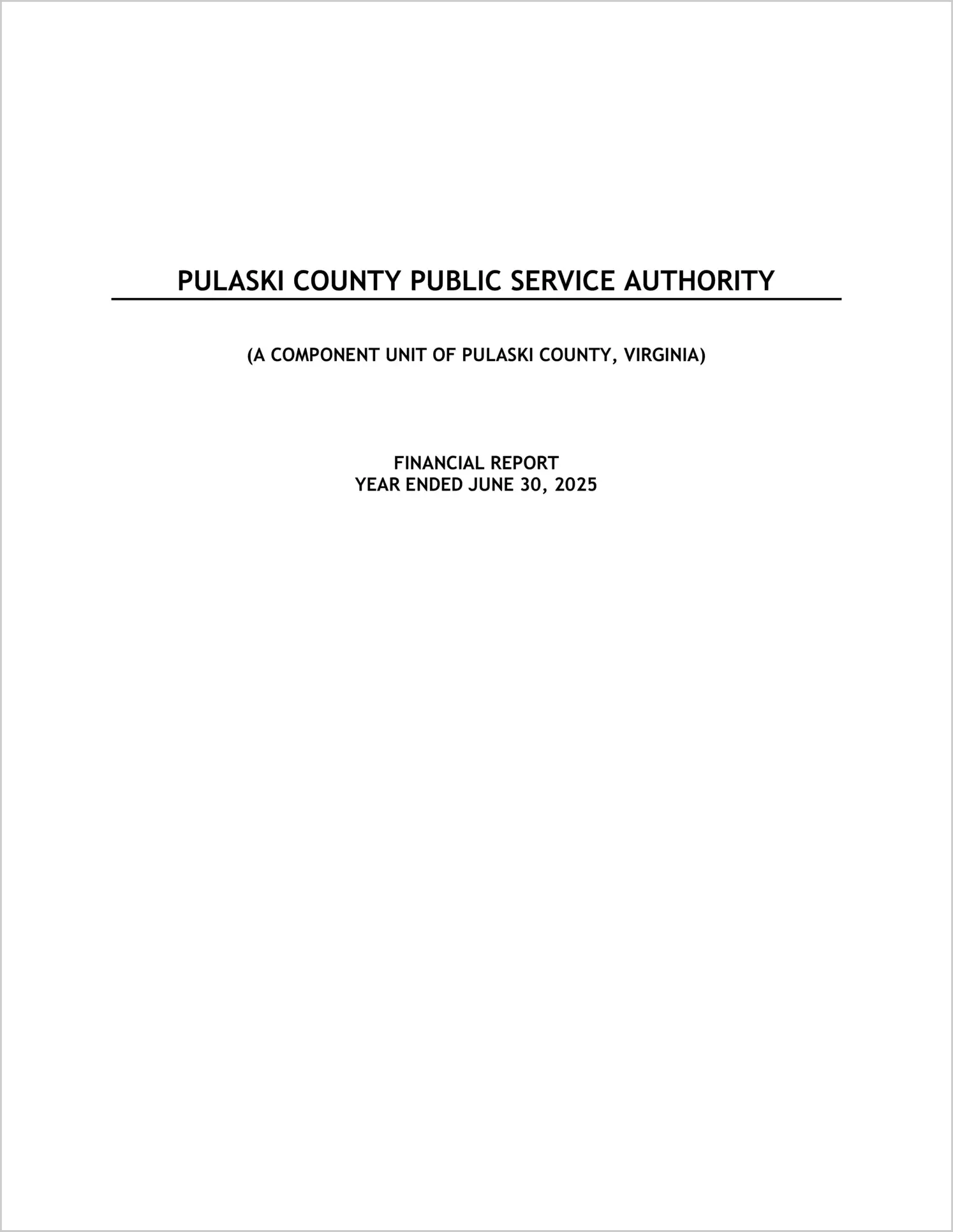 preview of 2025 ABC/Other Annual Financial Report for Pulaski County Public Service Authority