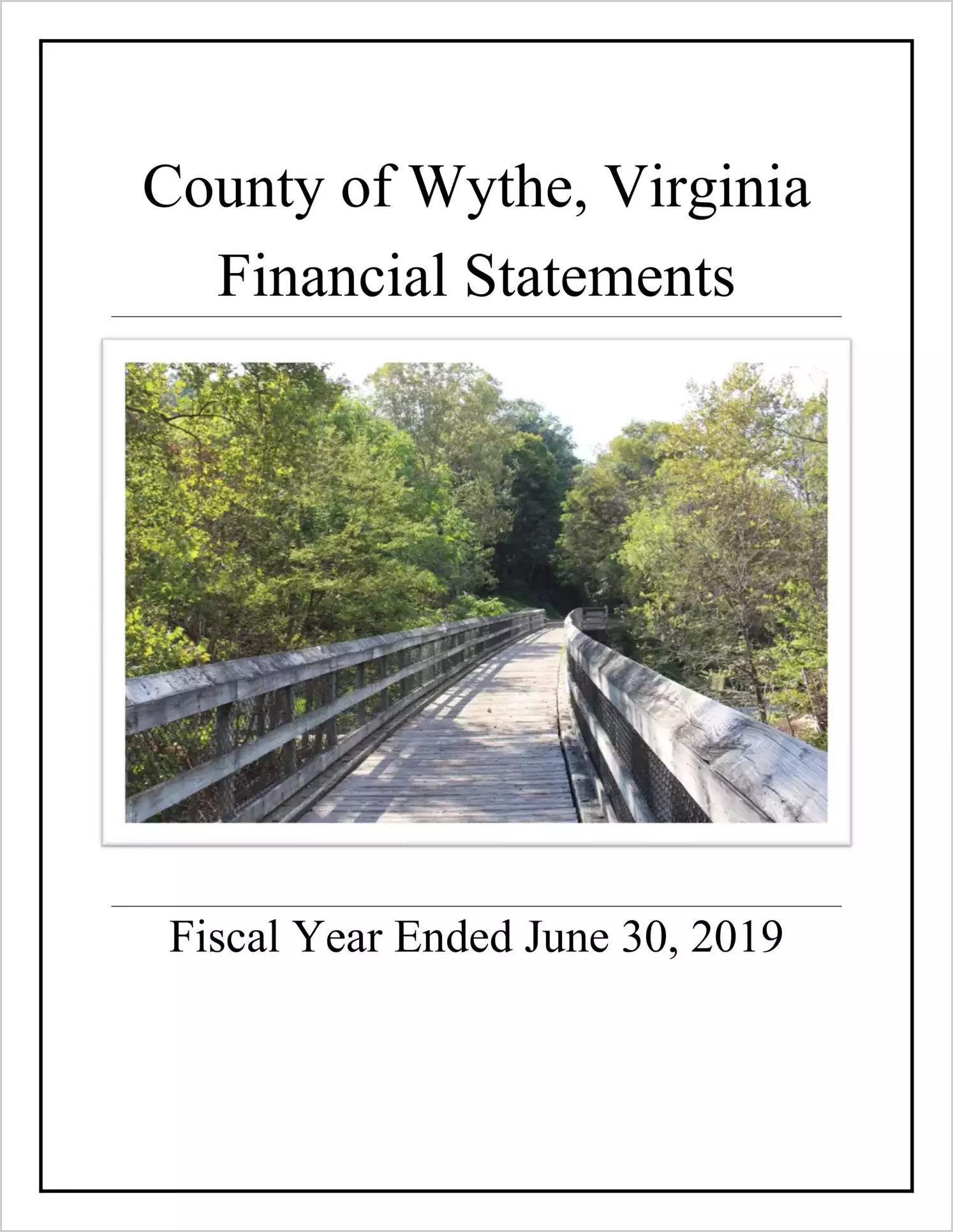 2019 Annual Financial Report for County of Wythe