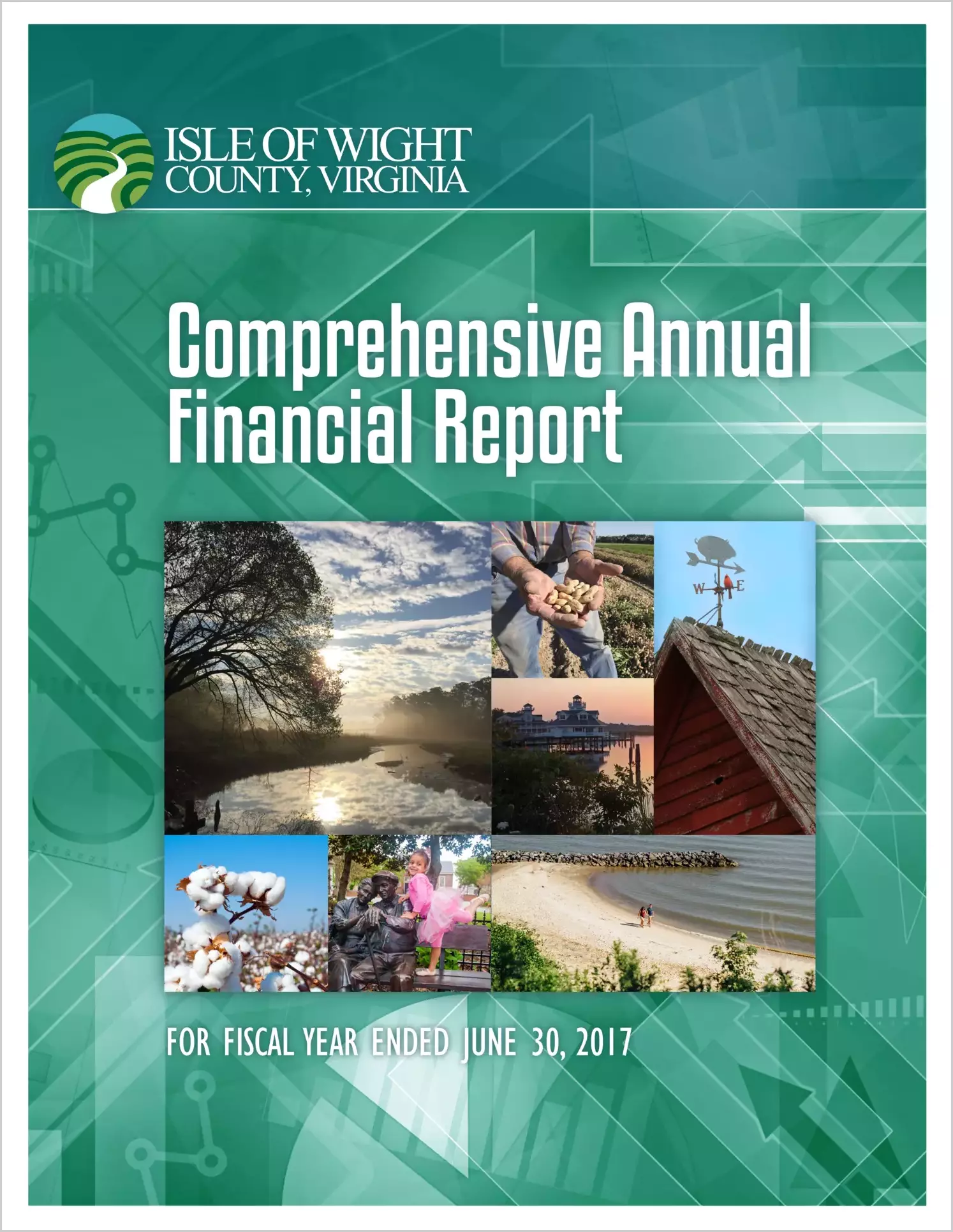 2017 Annual Financial Report for County of Isle of Wight