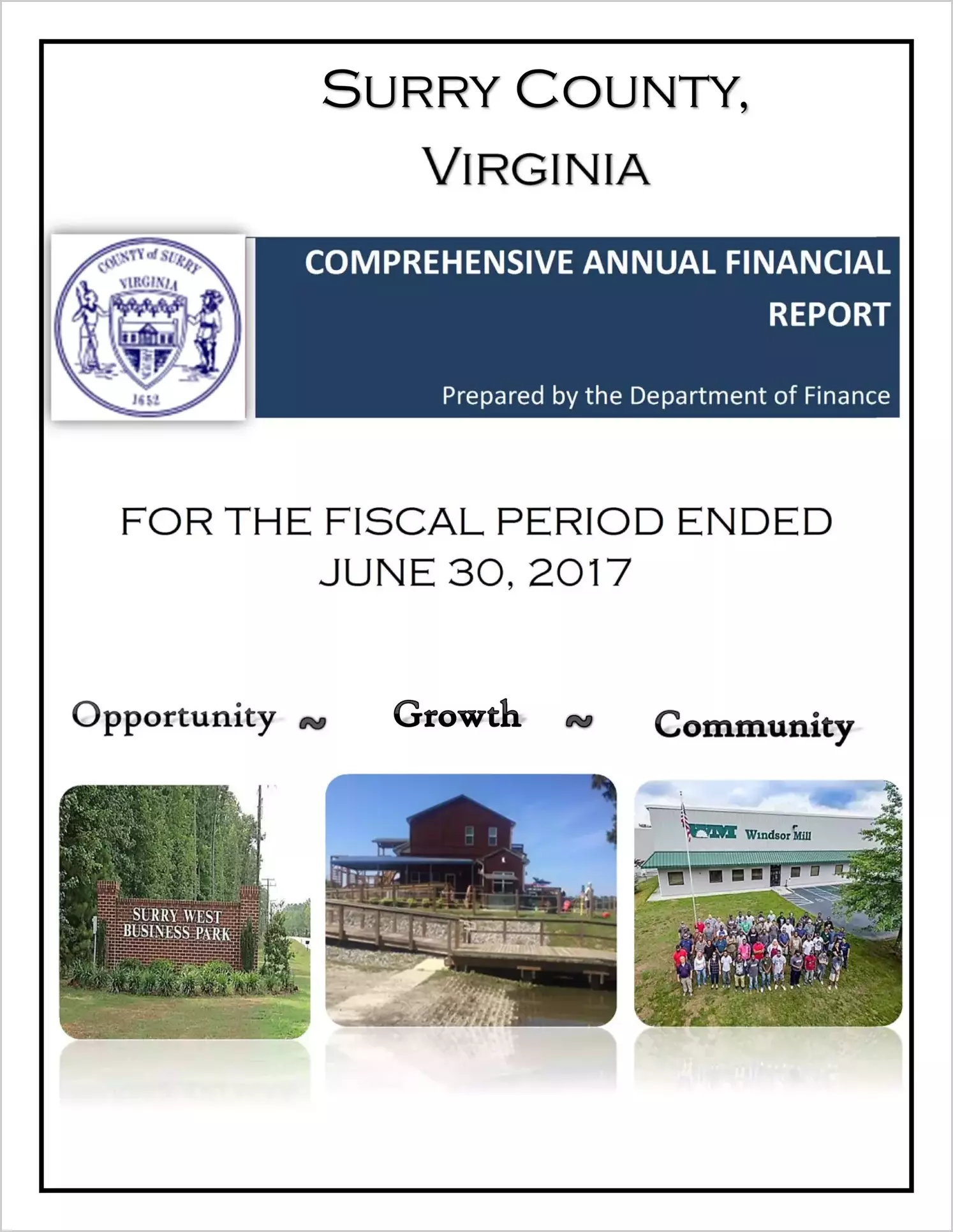 2017 Annual Financial Report for County of Surry