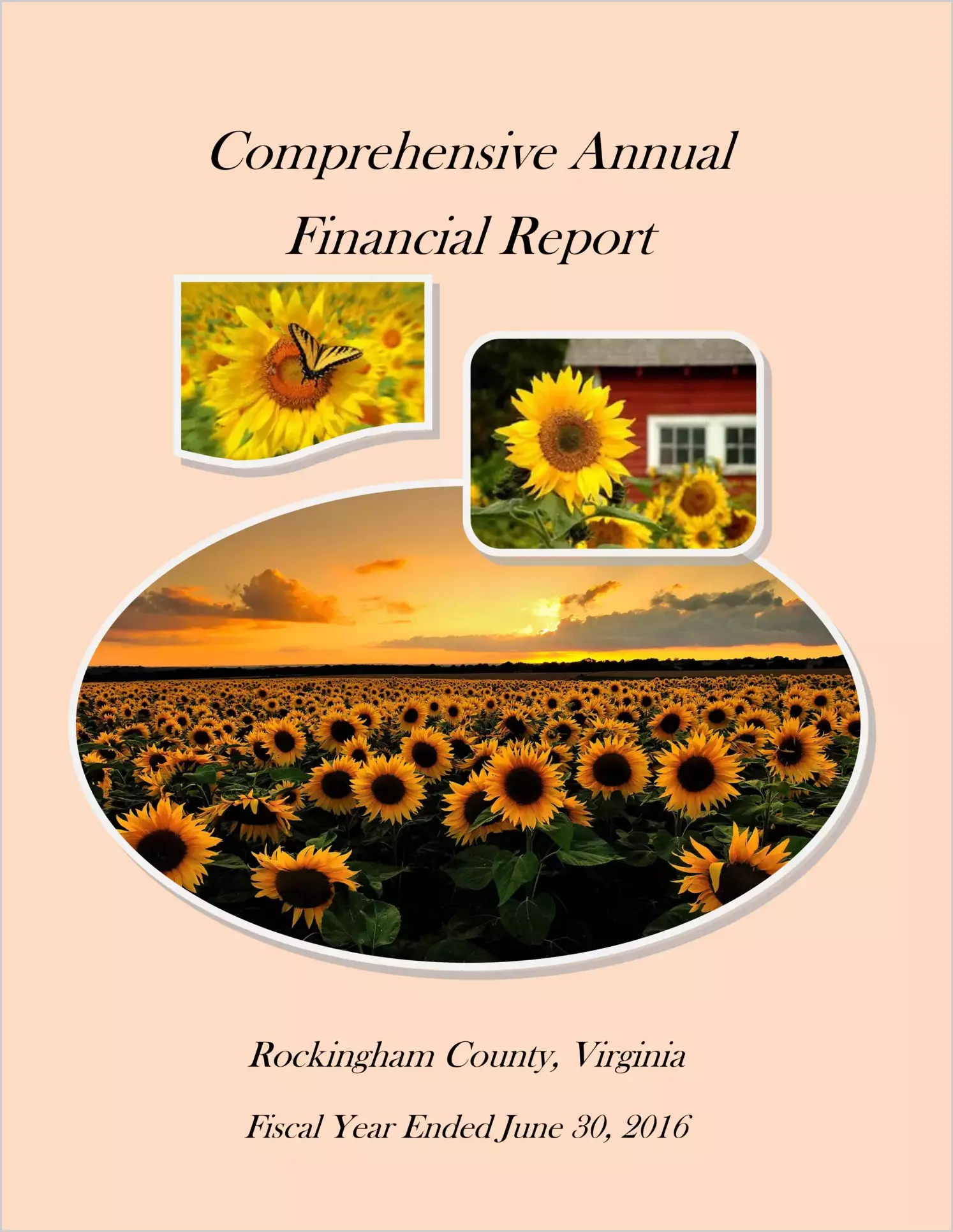 2016 Annual Financial Report for County of Rockingham