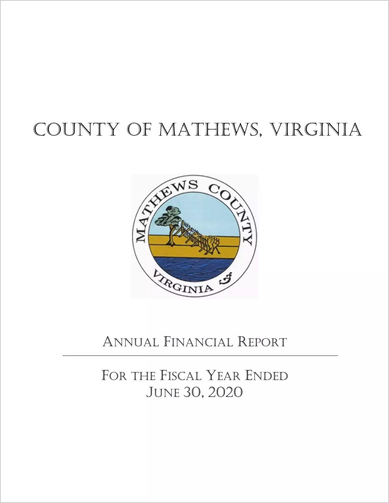2020 Annual Financial Report for County of Mathews
