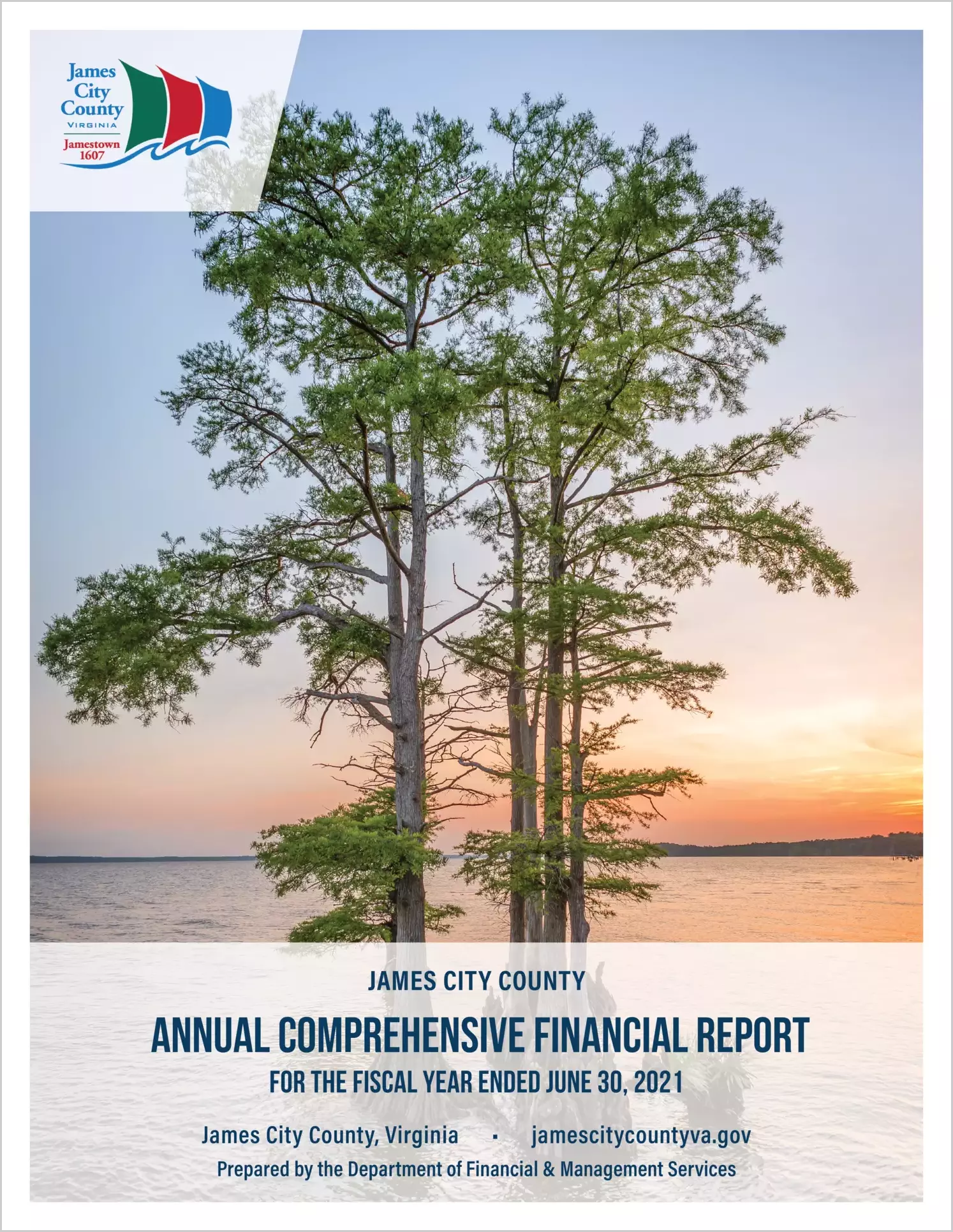 2021 Annual Financial Report for County of James City