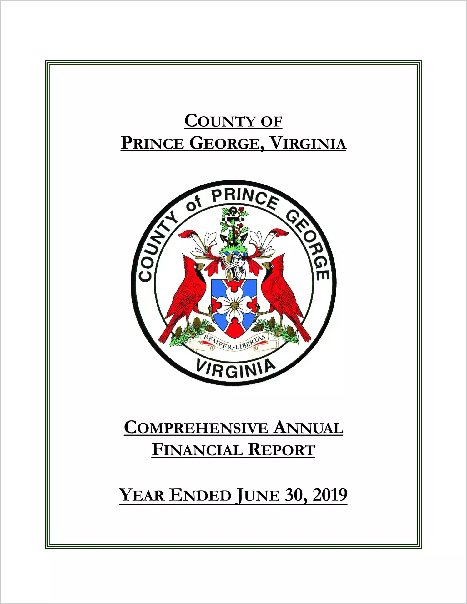 2019 Annual Financial Report for County of Prince George