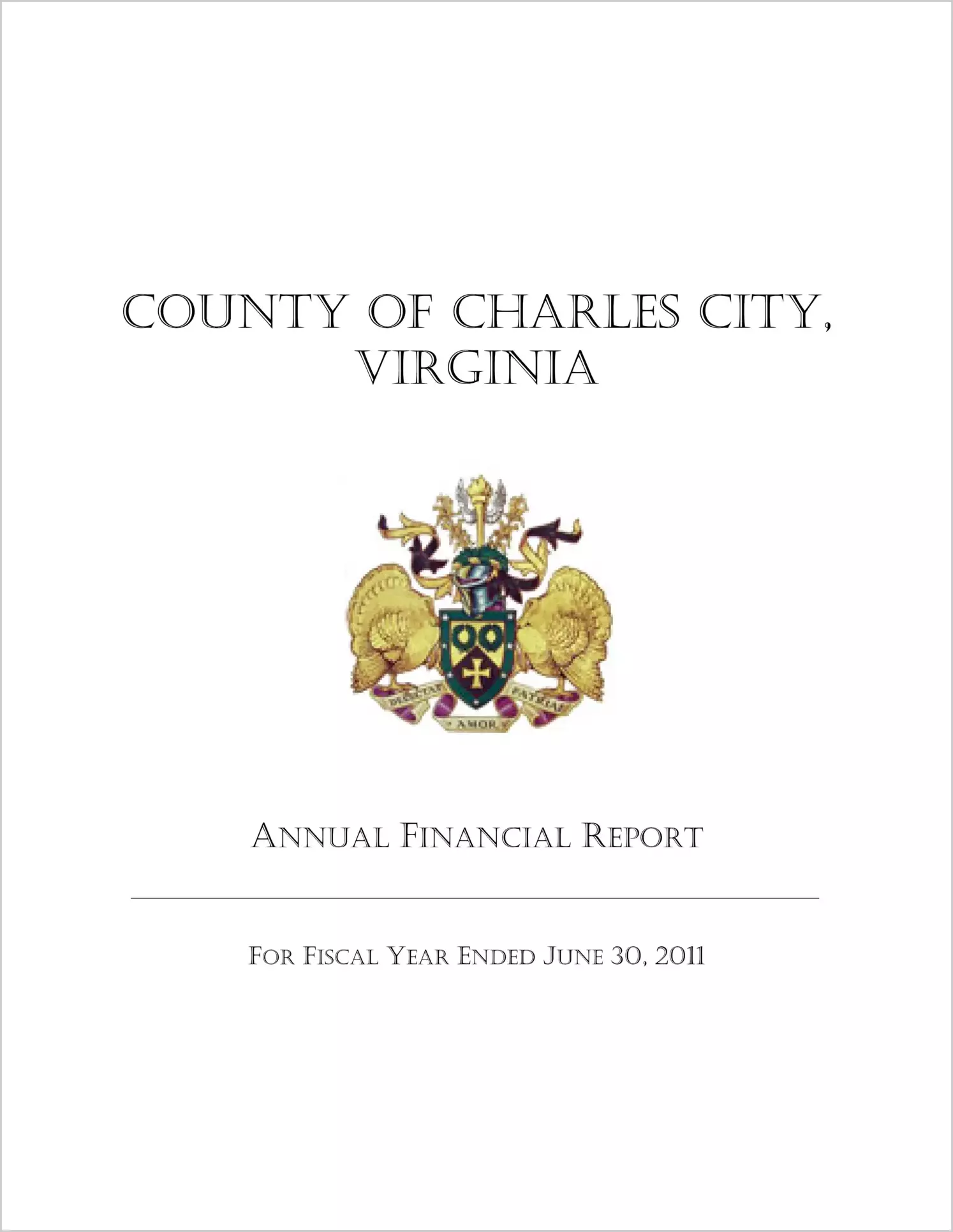 2011 Annual Financial Report for County of Charles City