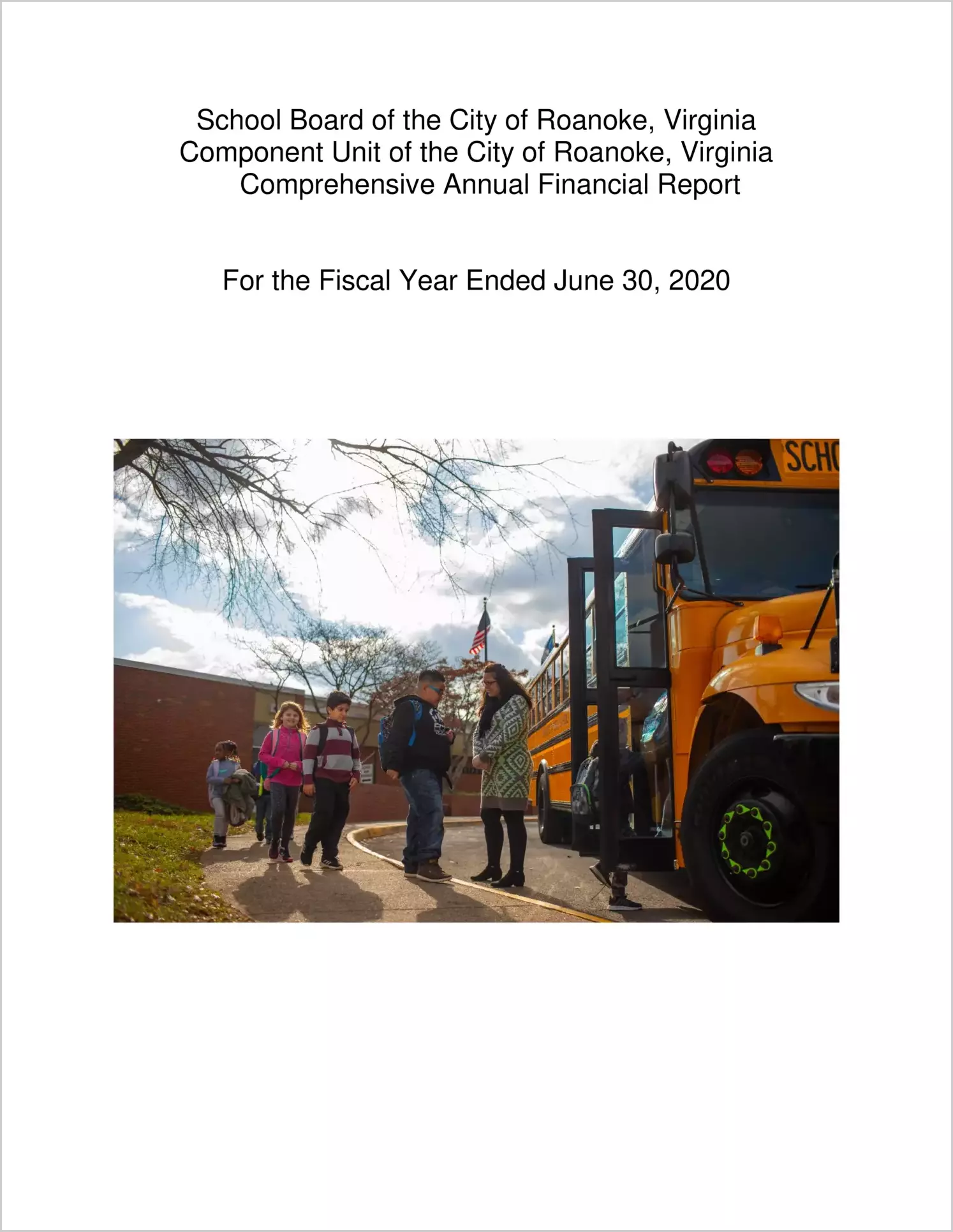 2020 Public Schools Annual Financial Report for City of Roanoke