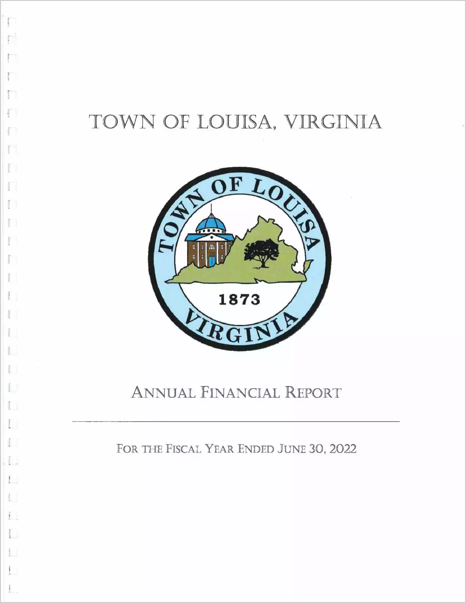 2022 Annual Financial Report for Town of Louisa