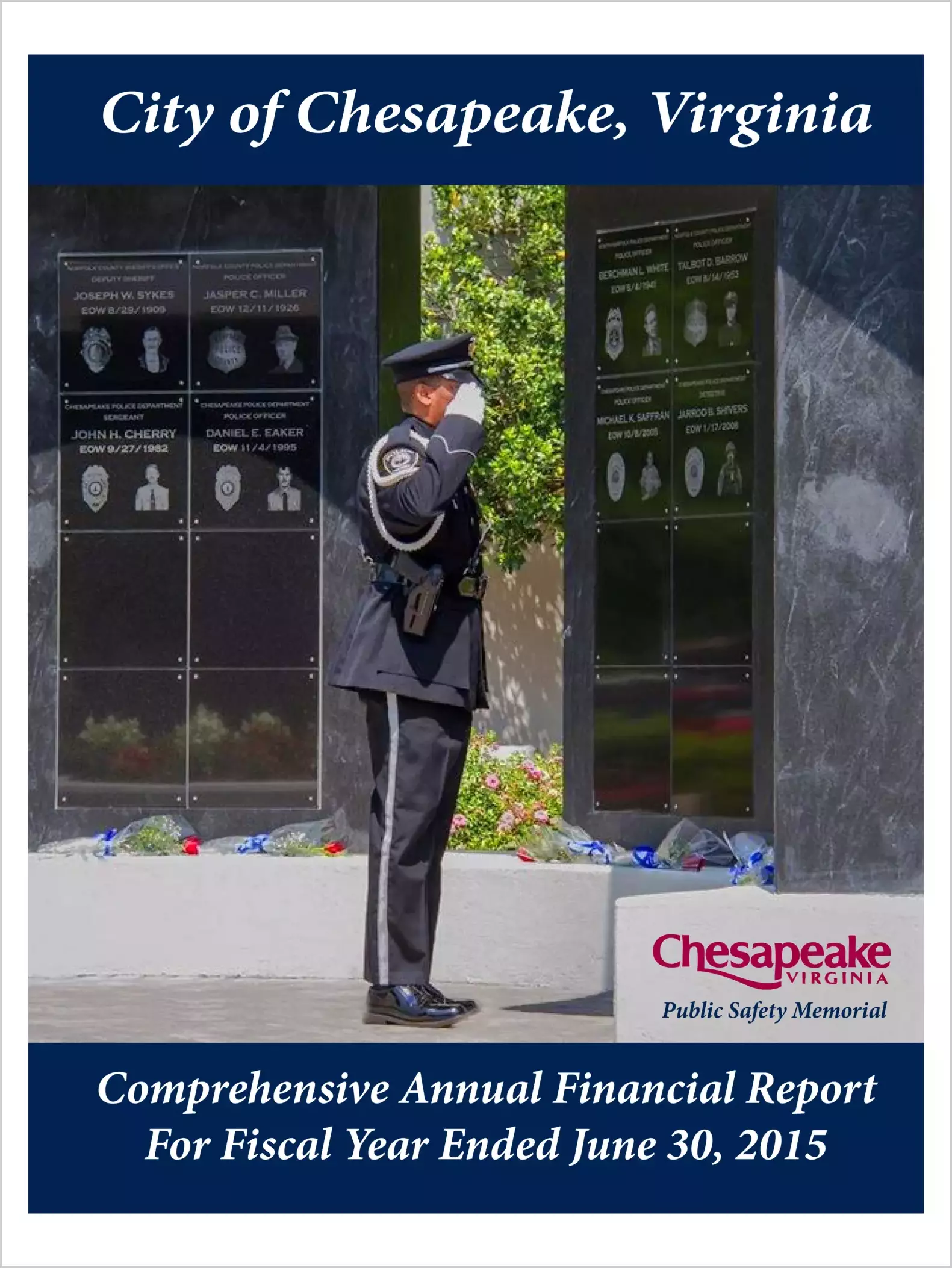 2015 Public Schools Annual Financial Report for City of Chesapeake