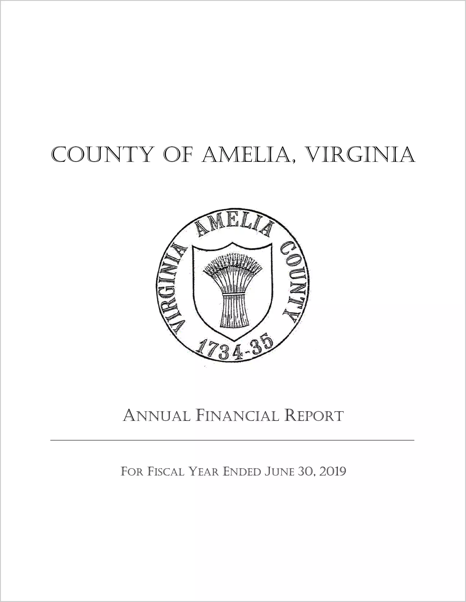 2019 Annual Financial Report for County of Amelia
