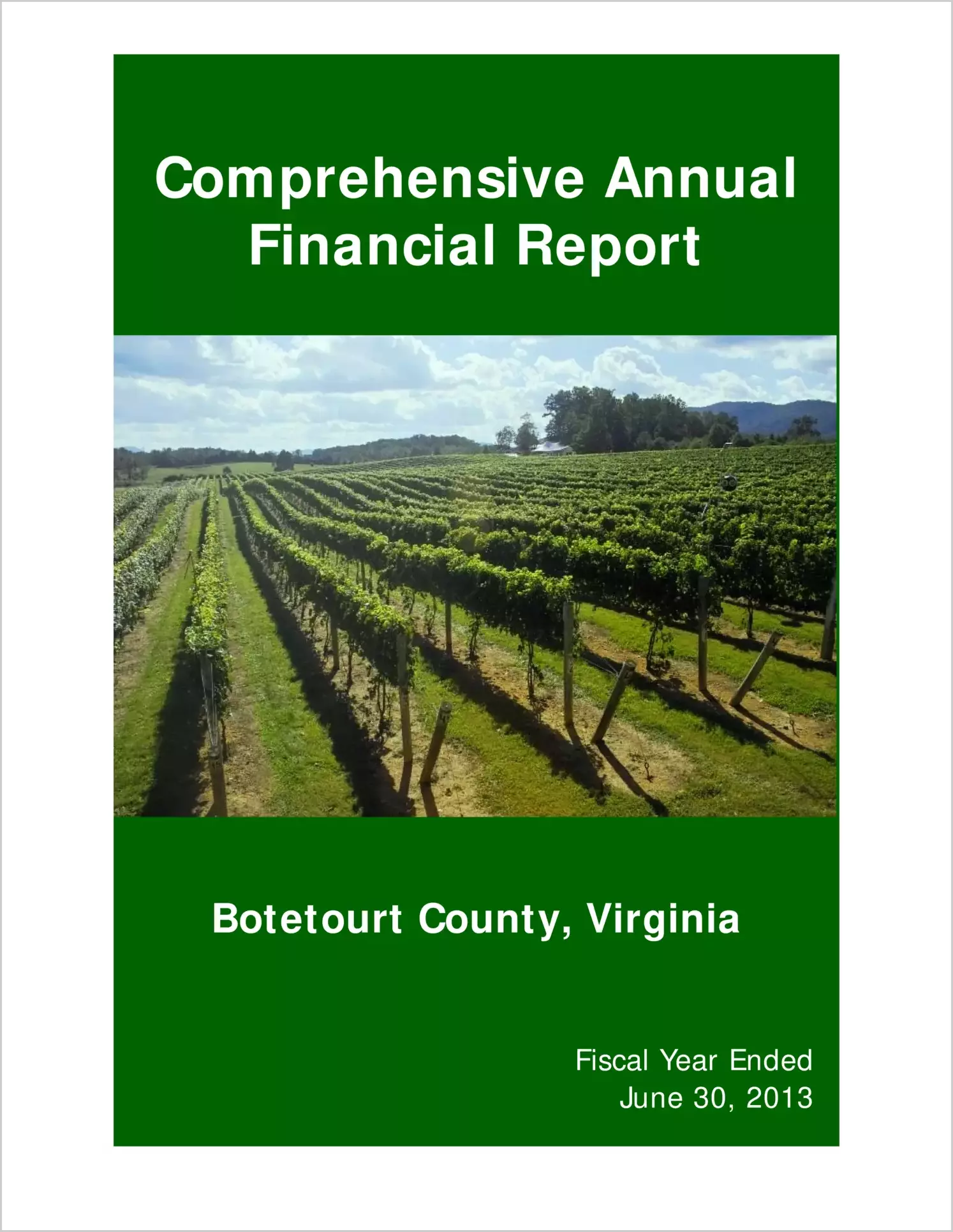 2013 Annual Financial Report for County of Botetourt
