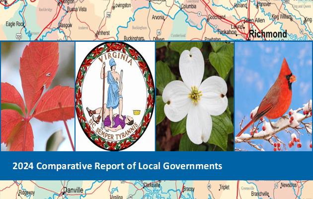 Draft 2024 Comparative Report of Local Governments