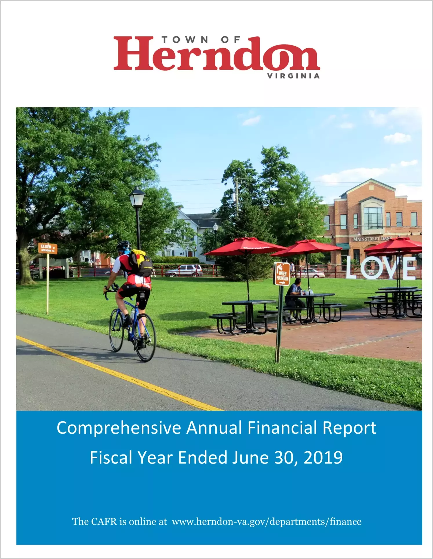 2019 Annual Financial Report for Town of Herndon