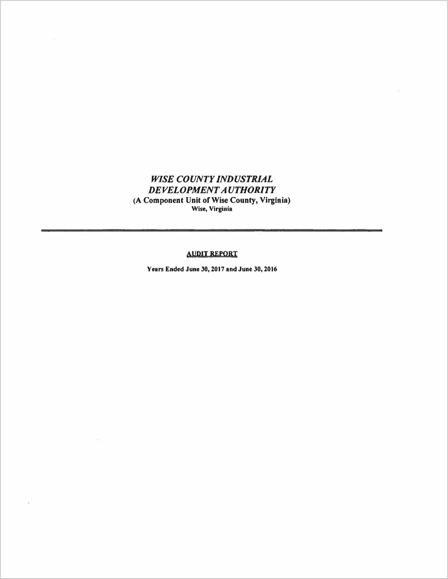 2017 ABC/Other Annual Financial Report  for Wise County Industrial Development Authority
