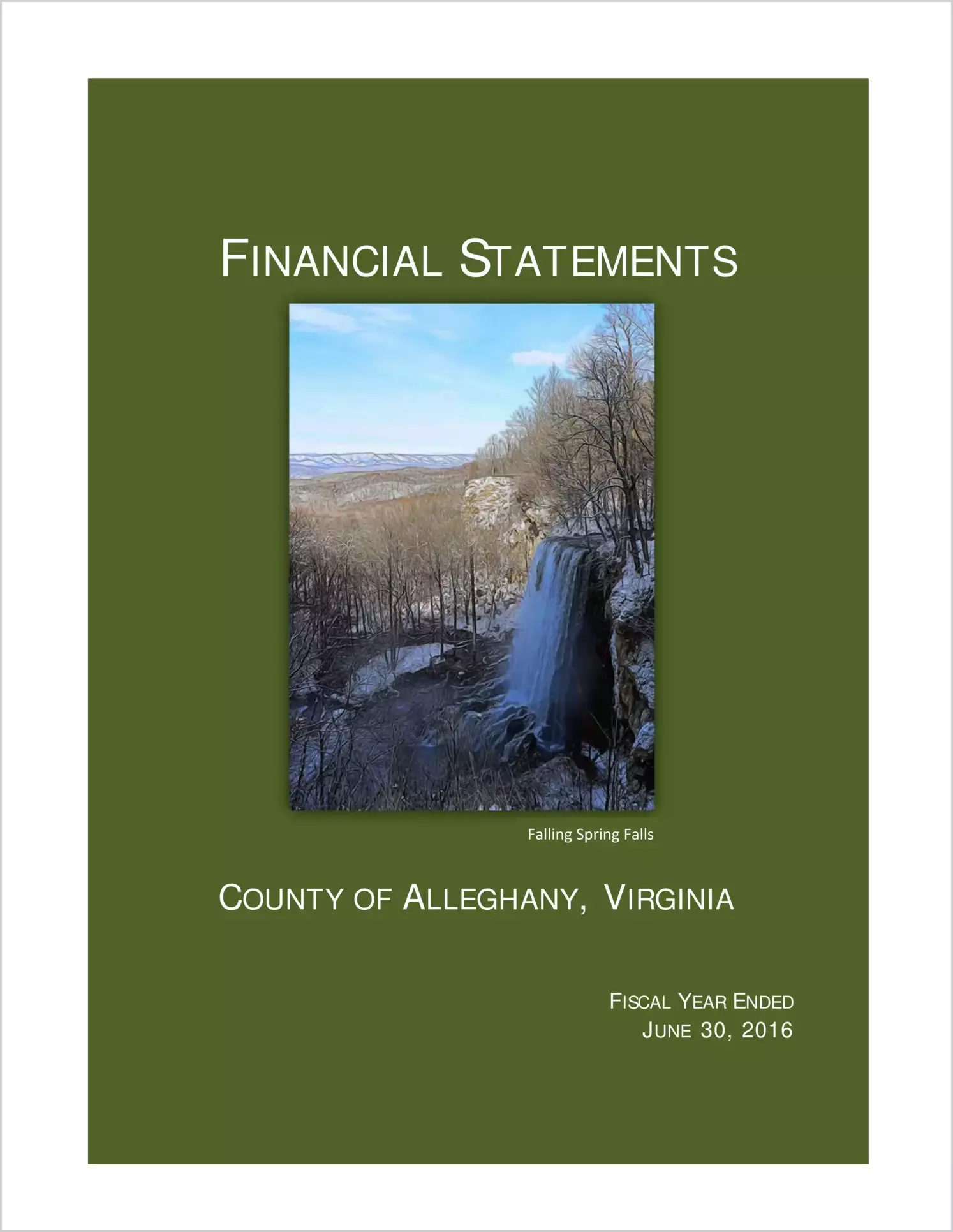 2016 Annual Financial Report for County of Alleghany
