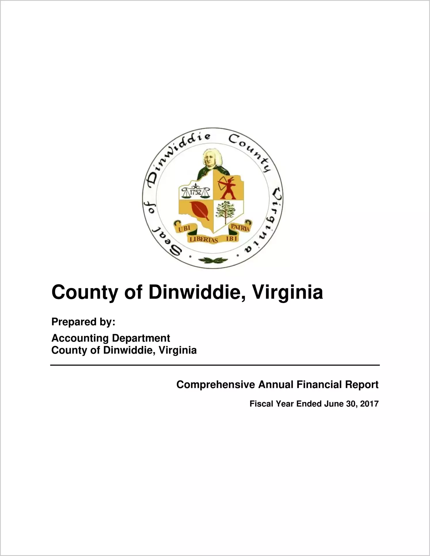 2017 Annual Financial Report for County of Dinwiddie