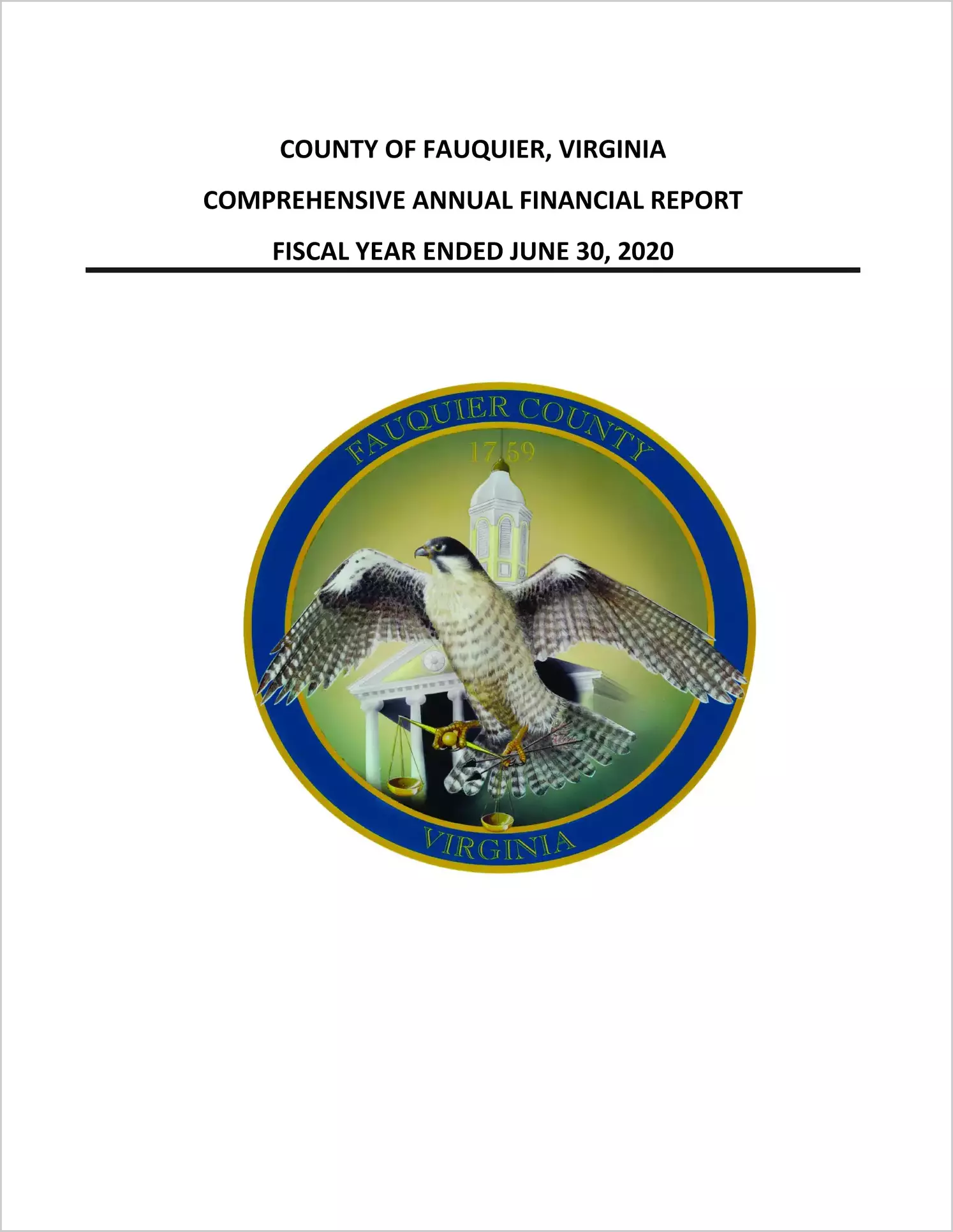 2020 Annual Financial Report for County of Fauquier