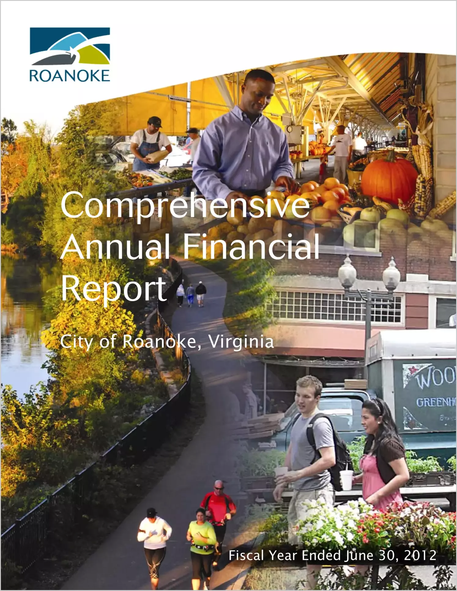 2012 Annual Financial Report for City of Roanoke