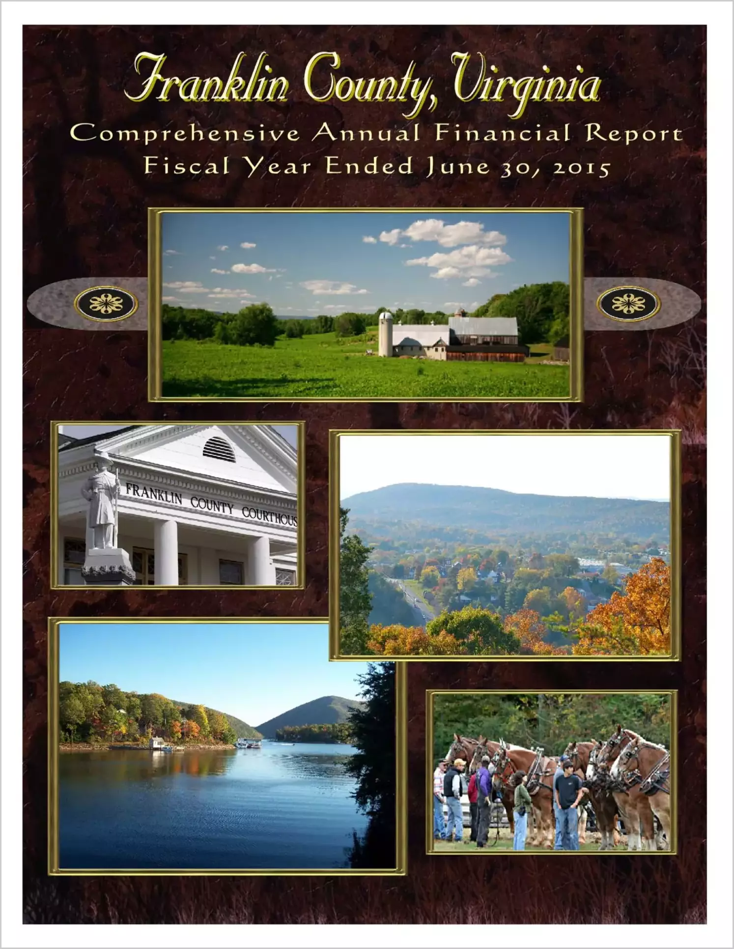 2015 Annual Financial Report for County of Franklin