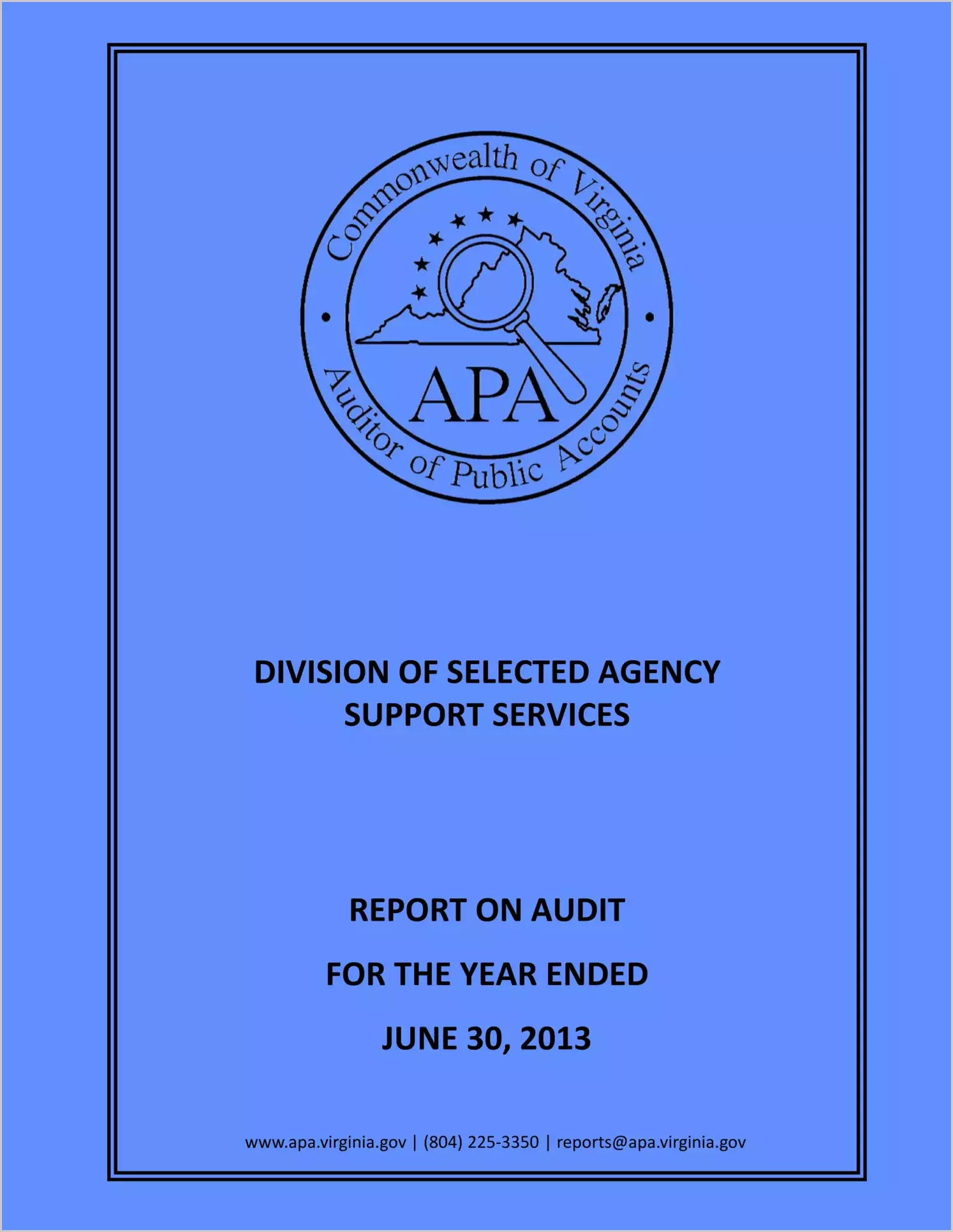 Division of Selected Agency Support Services for the year ended June 30, 2013