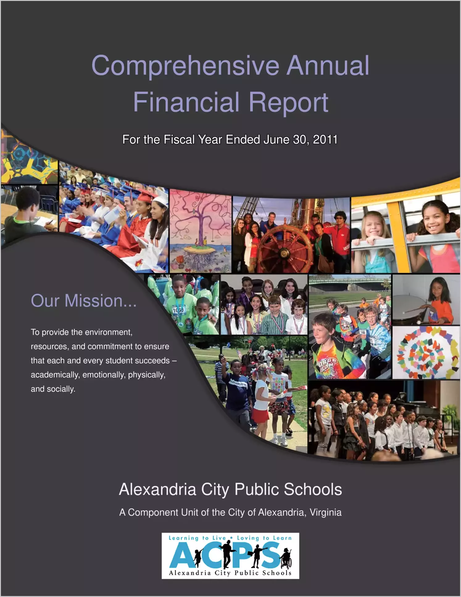 2011 Public Schools Annual Financial Report for City of Alexandria