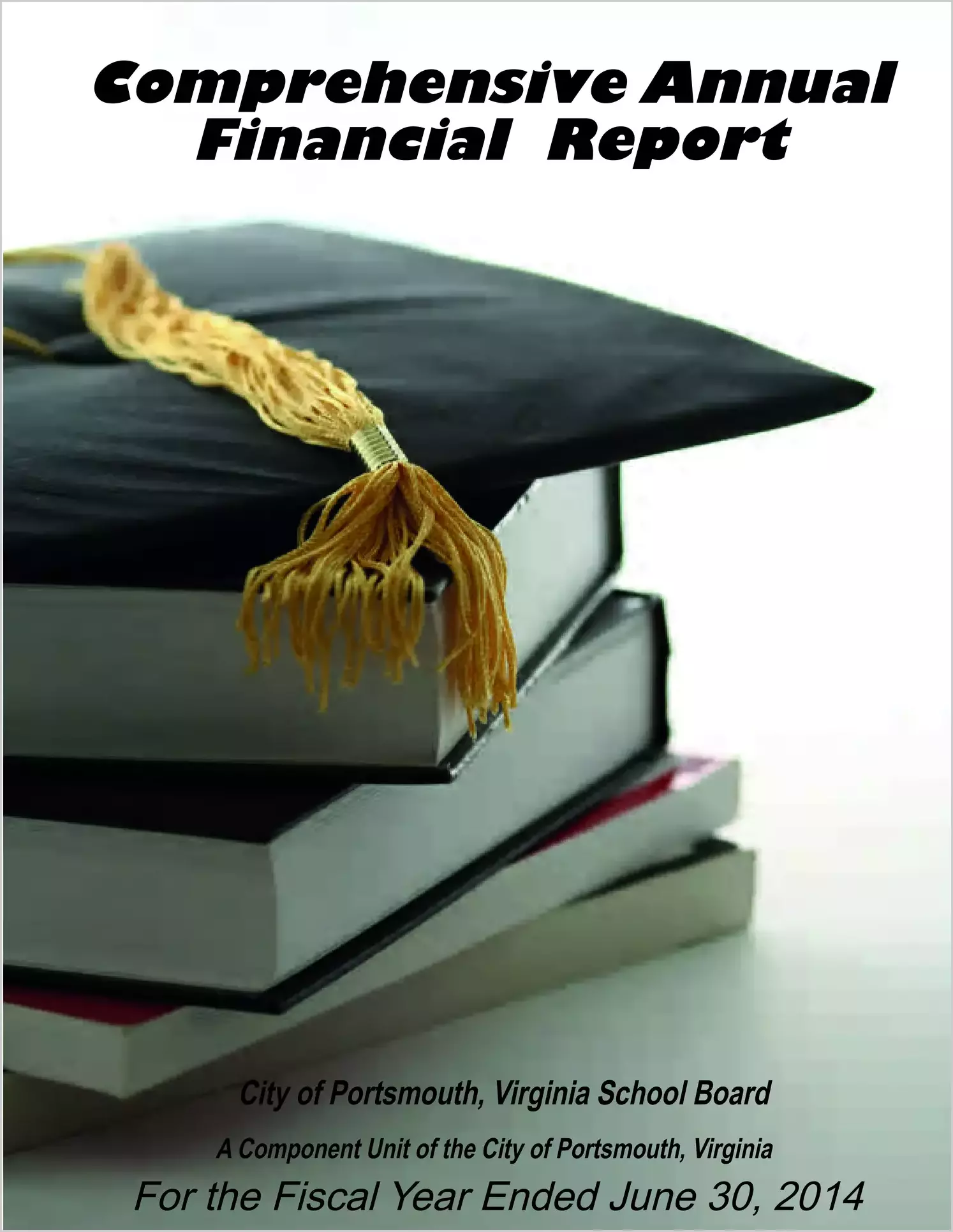 2014 Public Schools Annual Financial Report for City of Portsmouth