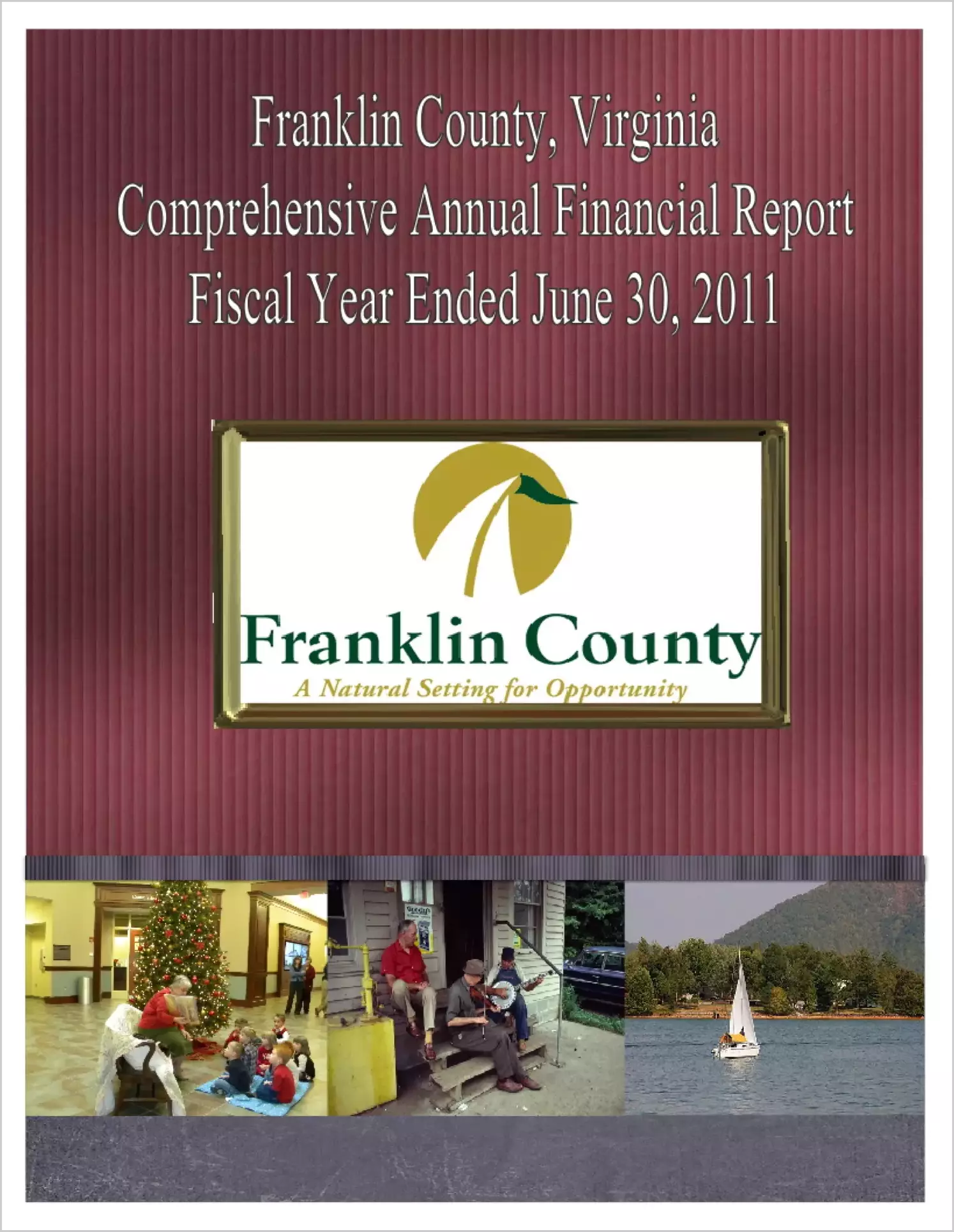2011 Annual Financial Report for County of Franklin