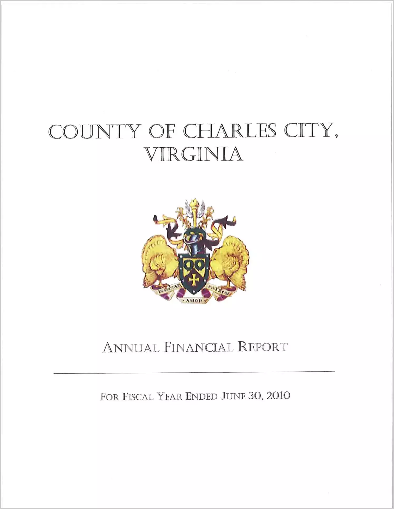 2010 Annual Financial Report for County of Charles City