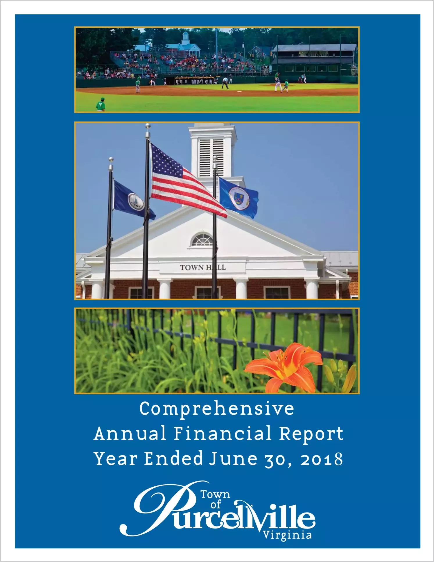 2018 Annual Financial Report for Town of Purcellville