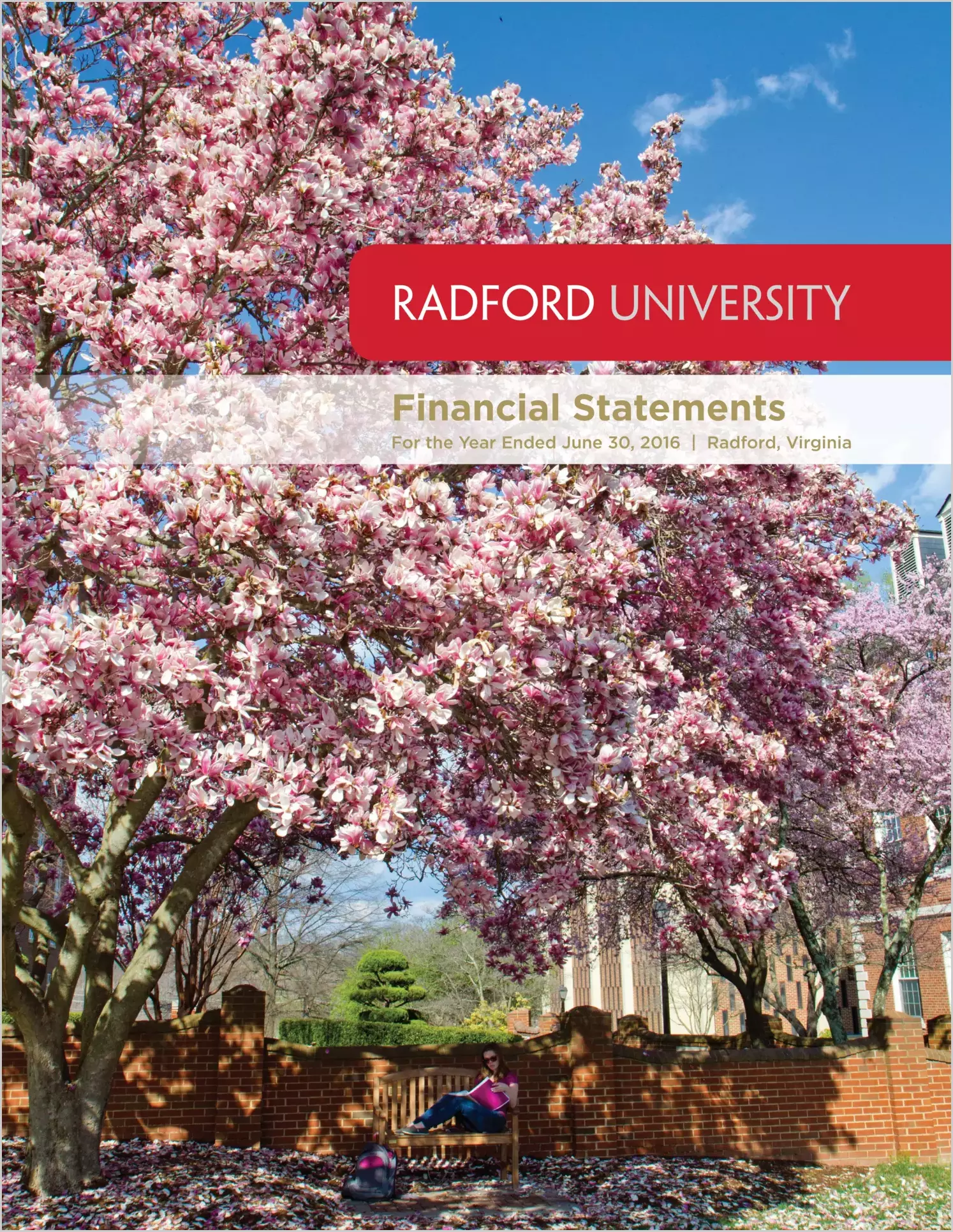 Radford University Financial Statements for the year ended June 30, 2016