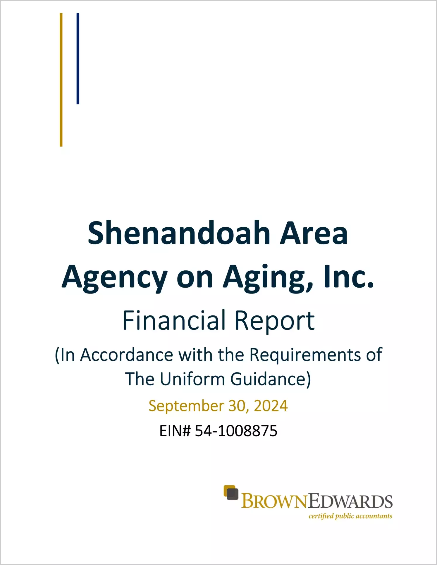 preview of 2024 ABC/Other Annual Financial Report for Shenandoah Area Agency on Aging