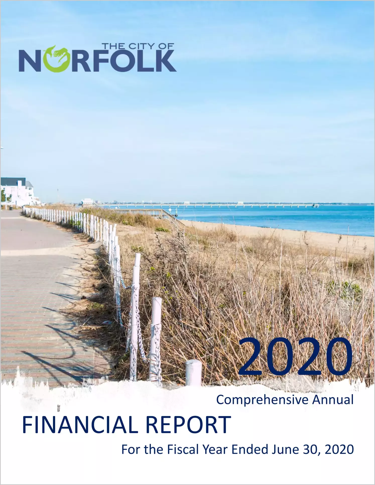 2020 Annual Financial Report for City of Norfolk