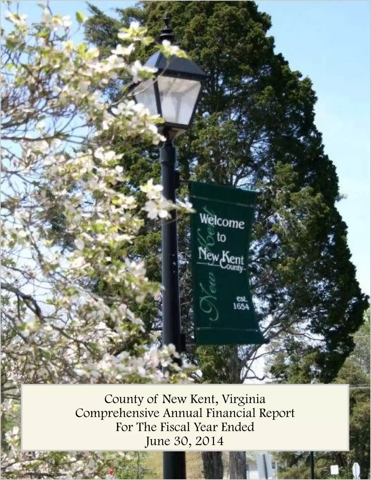 2014 Annual Financial Report for County of New Kent