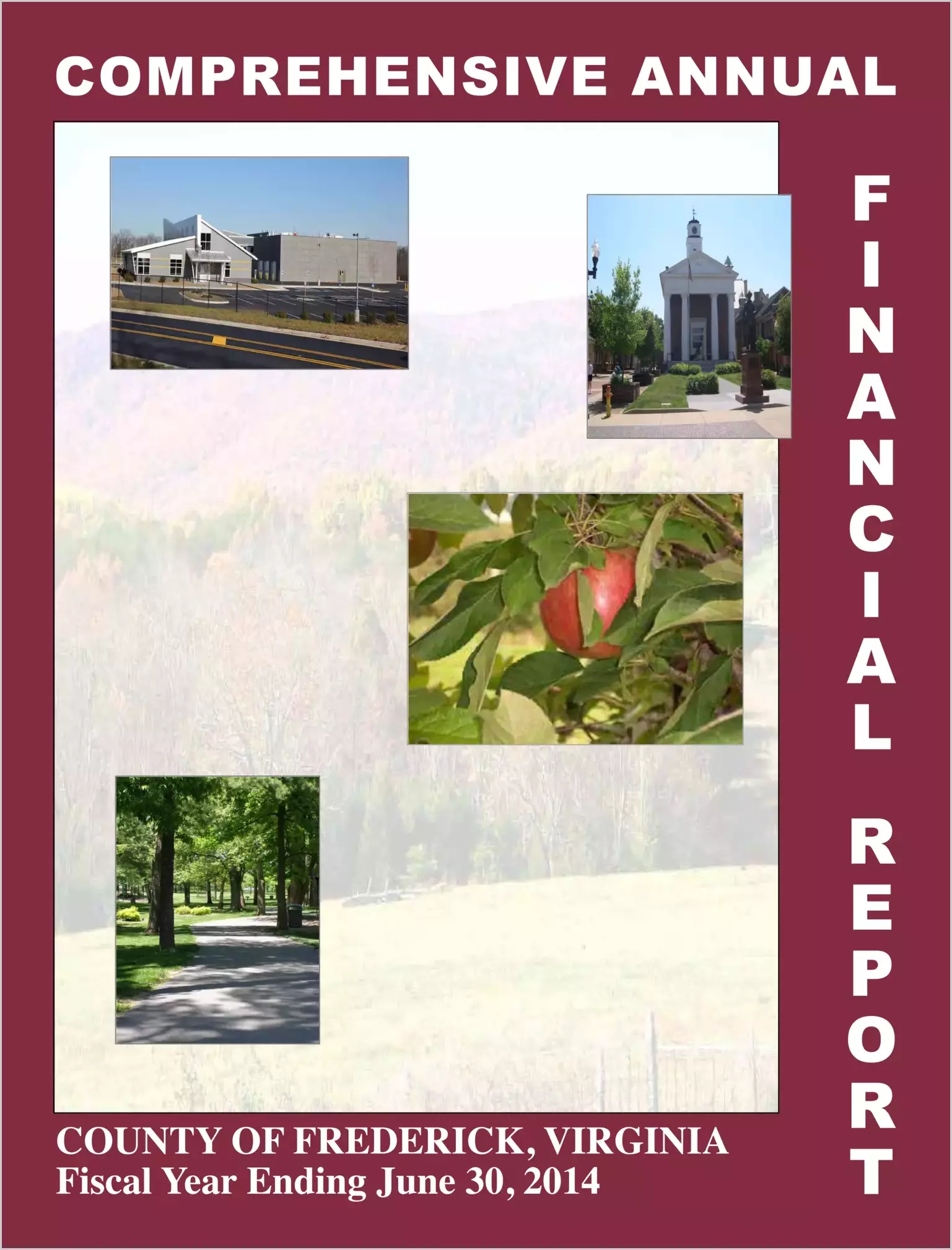 2014 Annual Financial Report for County of Frederick