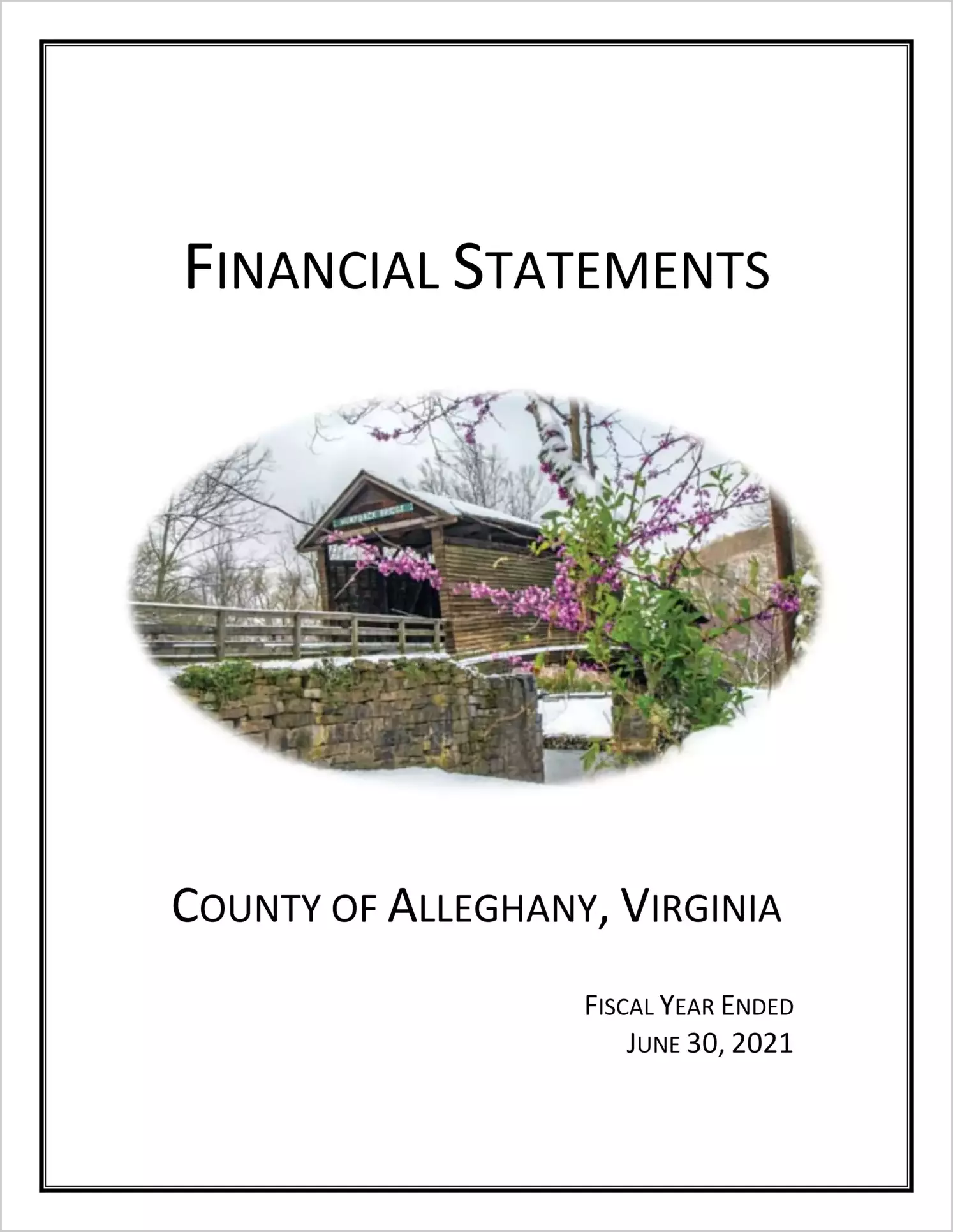 2021 Annual Financial Report for County of Alleghany