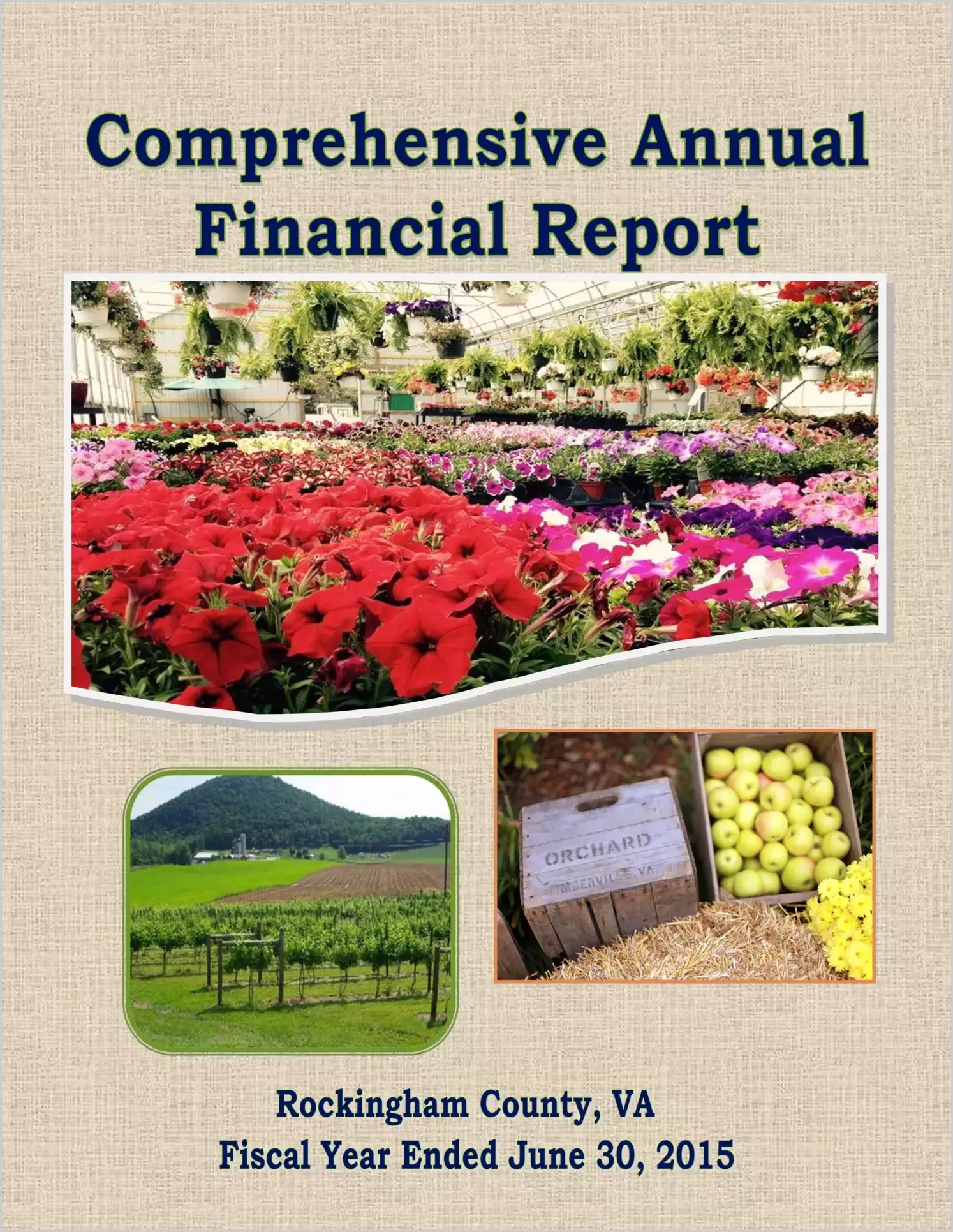 2015 Annual Financial Report for County of Rockingham