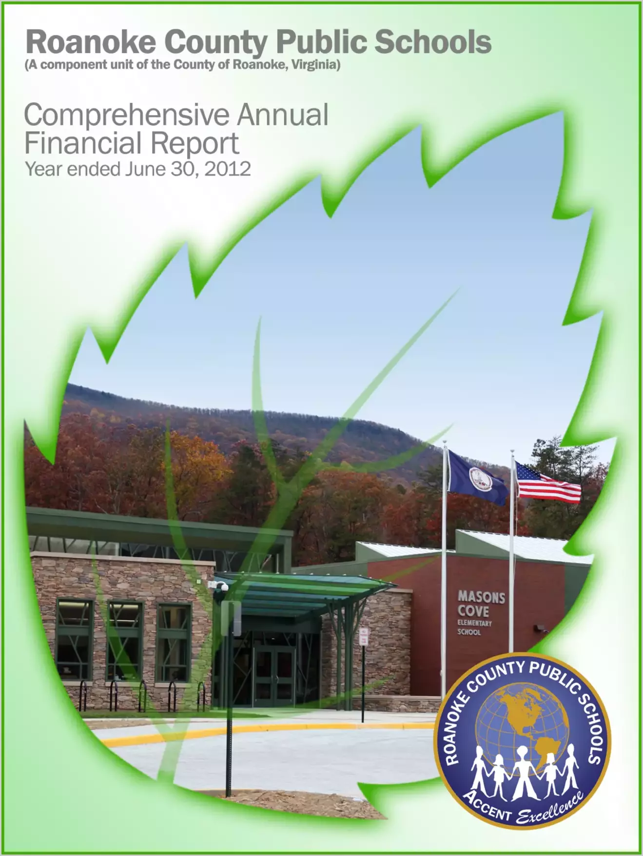 2012 Public Schools Annual Financial Report for County of Roanoke