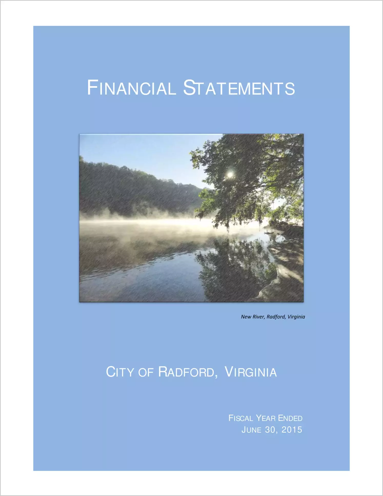 2015 Annual Financial Report for City of Radford
